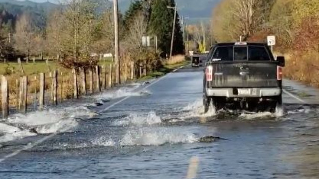 Salmão atravessa estrada parcialmente inundada nos EUA