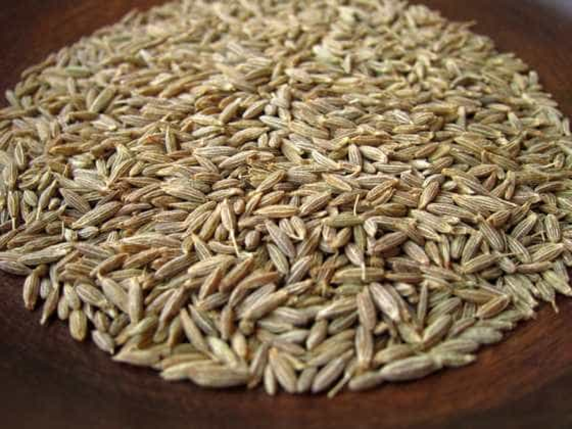 Uma centena de alimentos para combater a fome de forma saudável