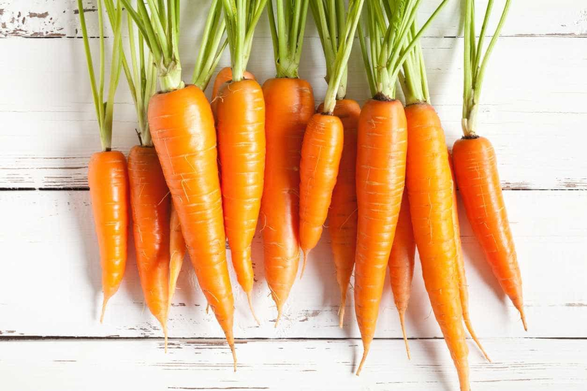 Os 16 alimentos que prometem mantê-lo hidratado