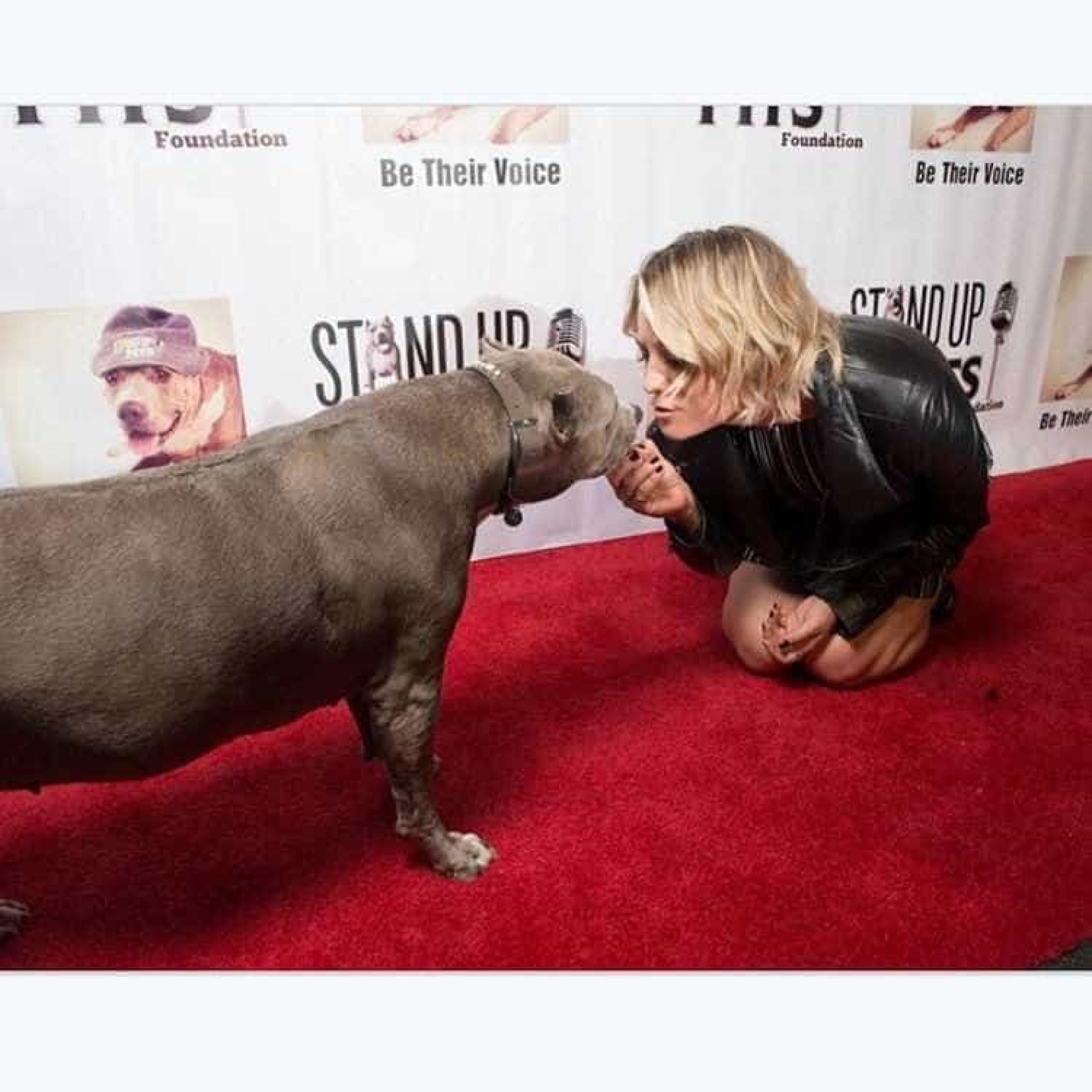 Kaley Cuoco faz 31 anos, confira as 31 melhores fotos da atriz