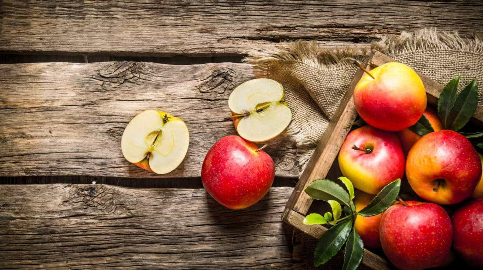 Uma centena de alimentos para combater a fome de forma saudável