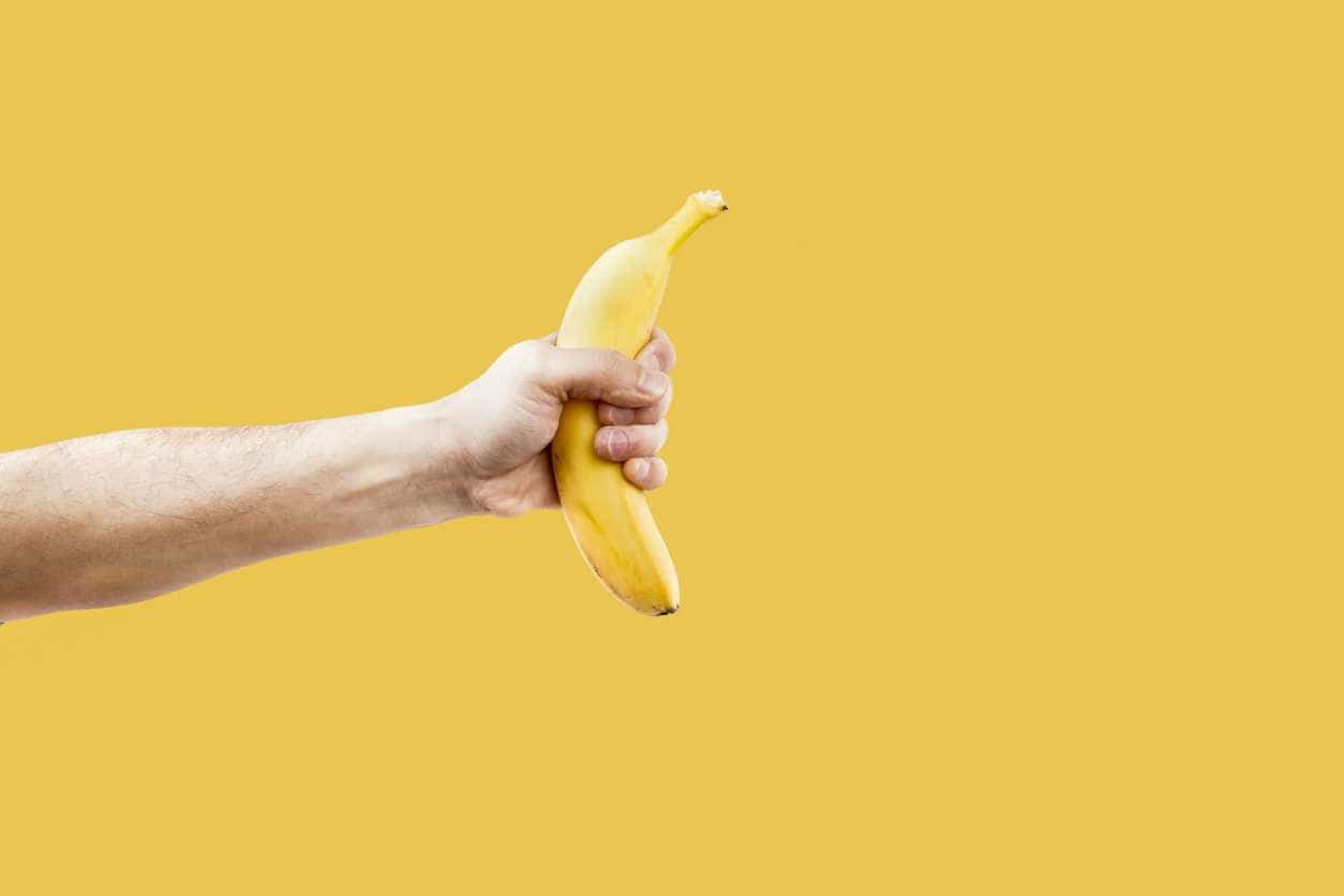 Uma centena de alimentos para combater a fome de forma saudável