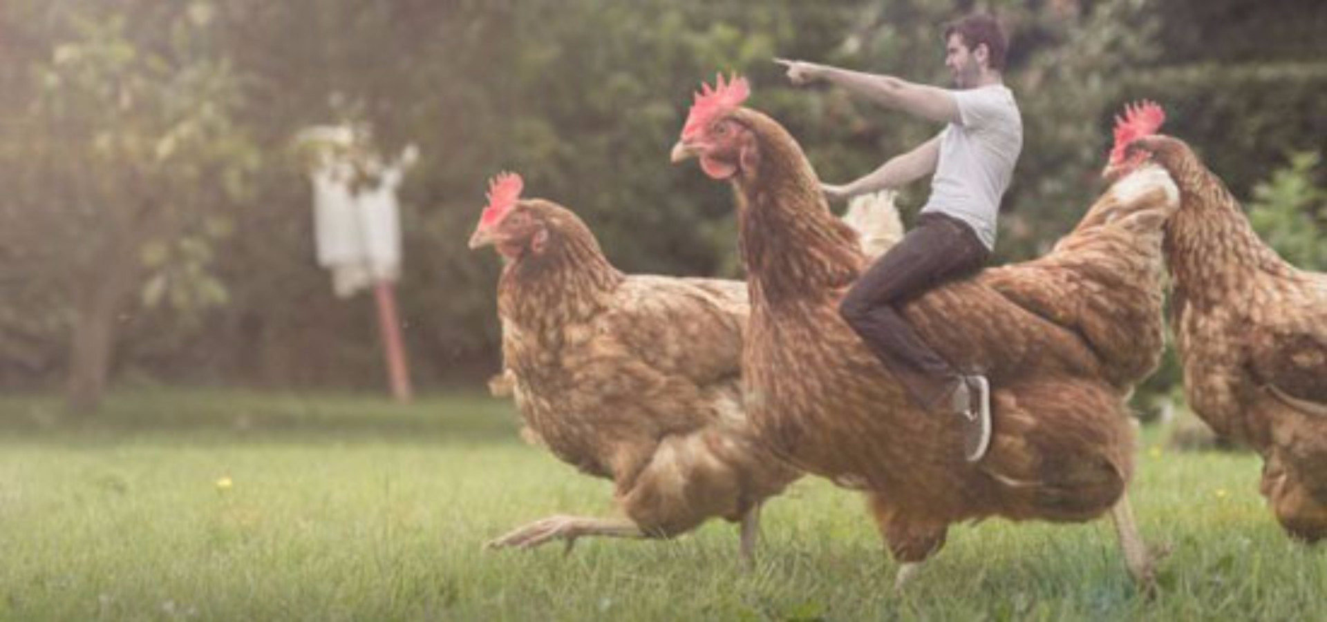 O que acontece quando a criatividade da Internet supera todos os limites