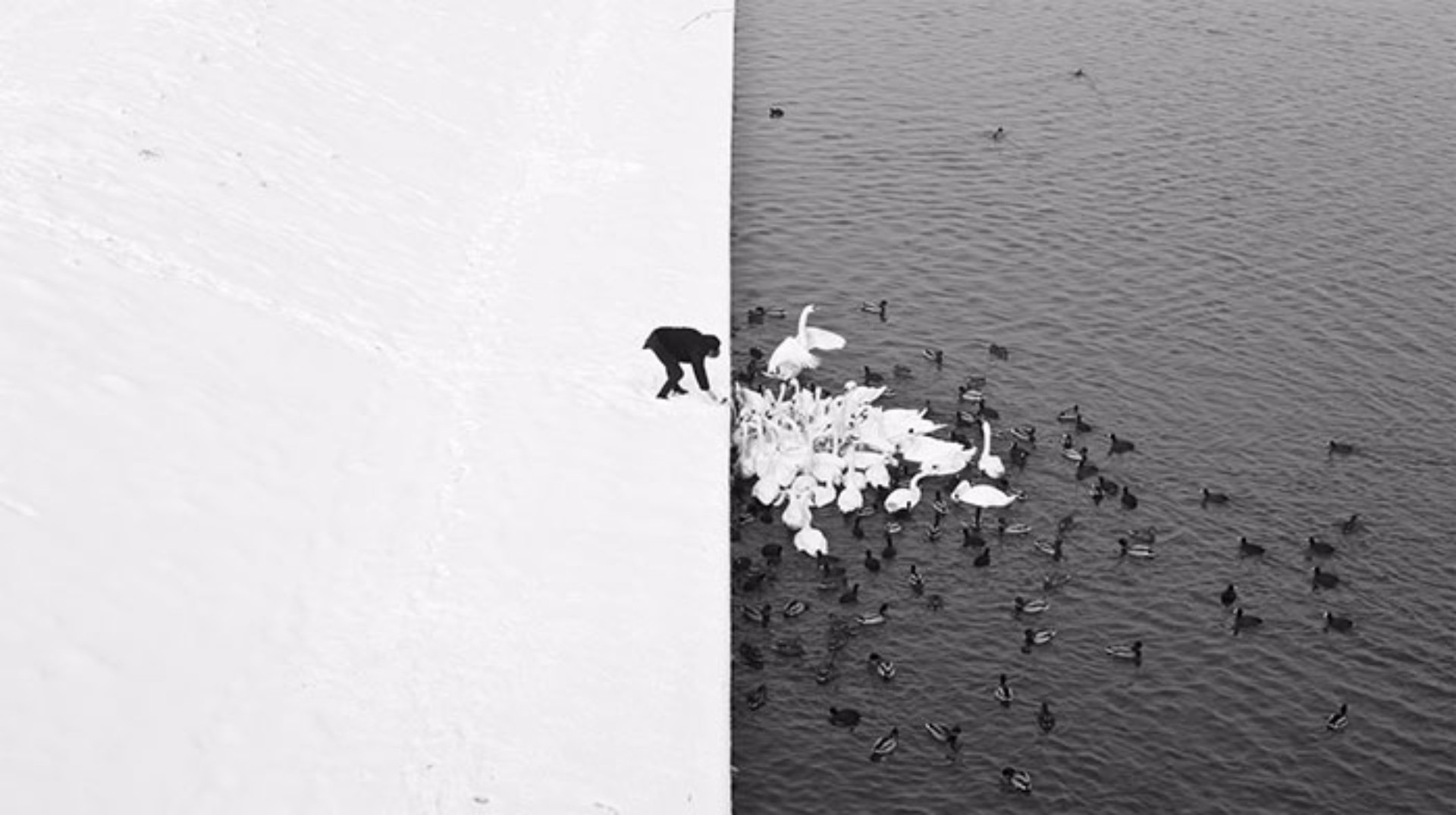 Estas imagens são tão incríveis que é difícil crer que não são montagens