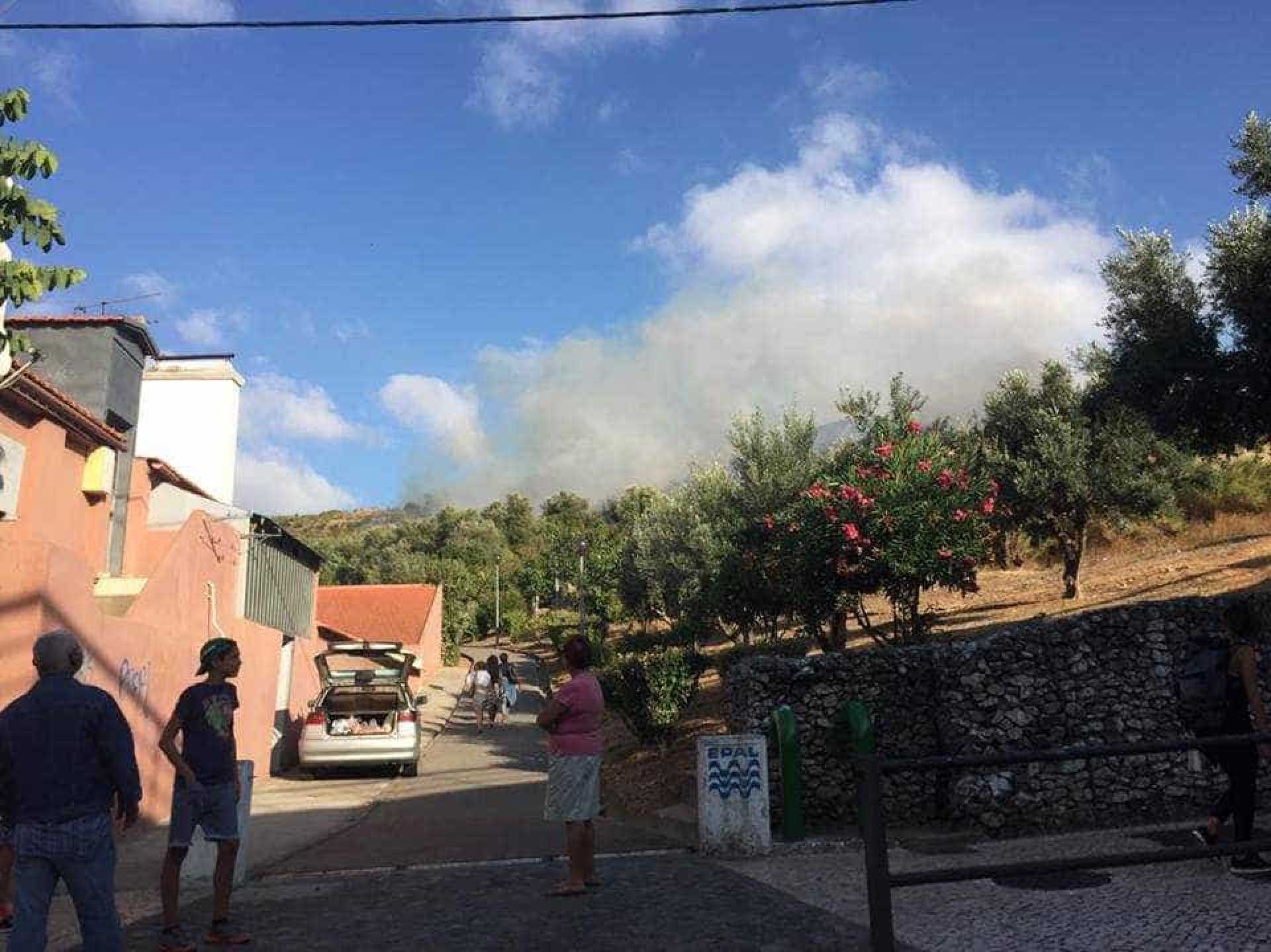 Incêndio corta trânsito na A8 junto à Calçada de Carriche