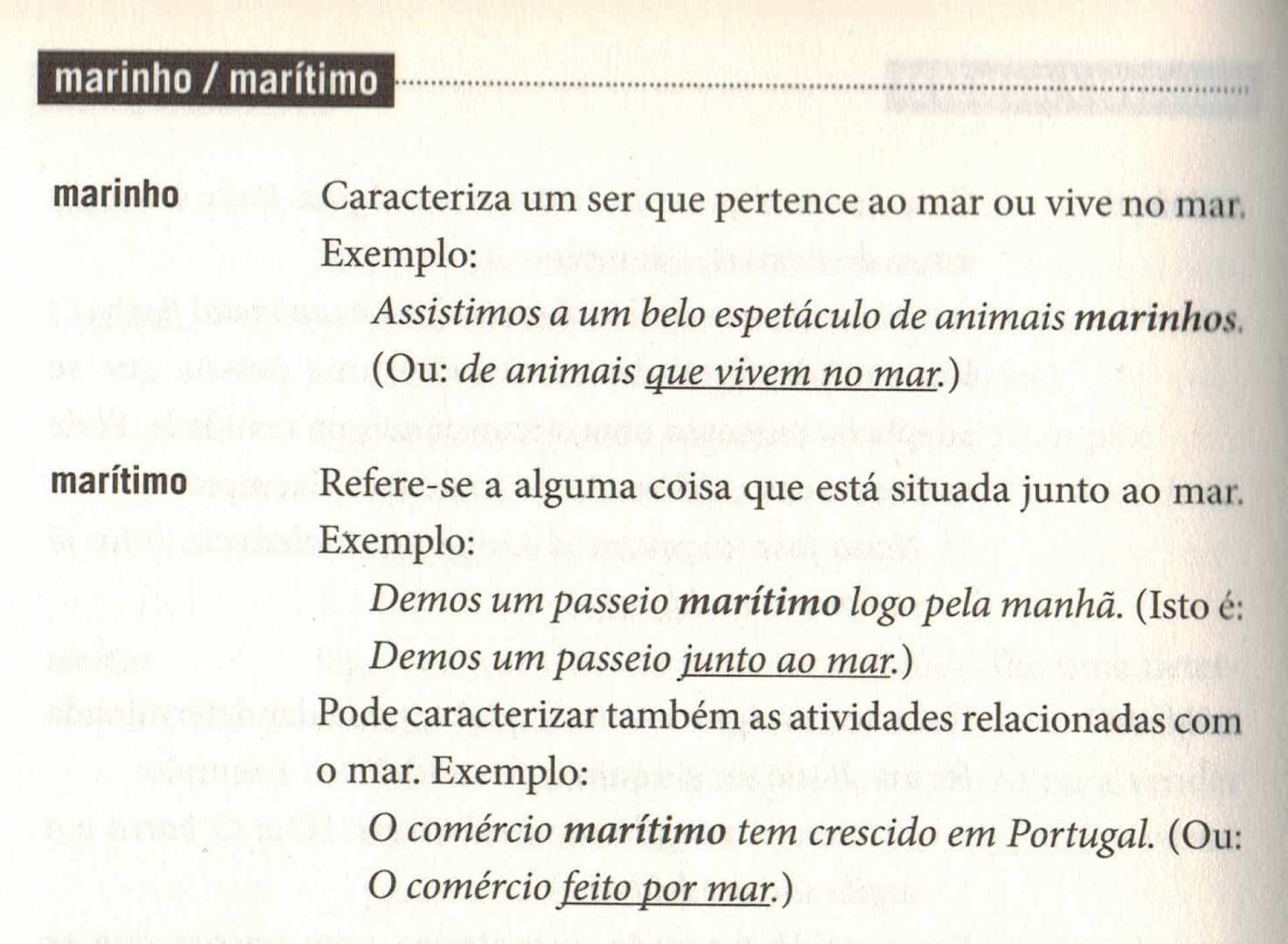 Tem dificuldade em escrever bem em português? Eis dicas que podem ajudar