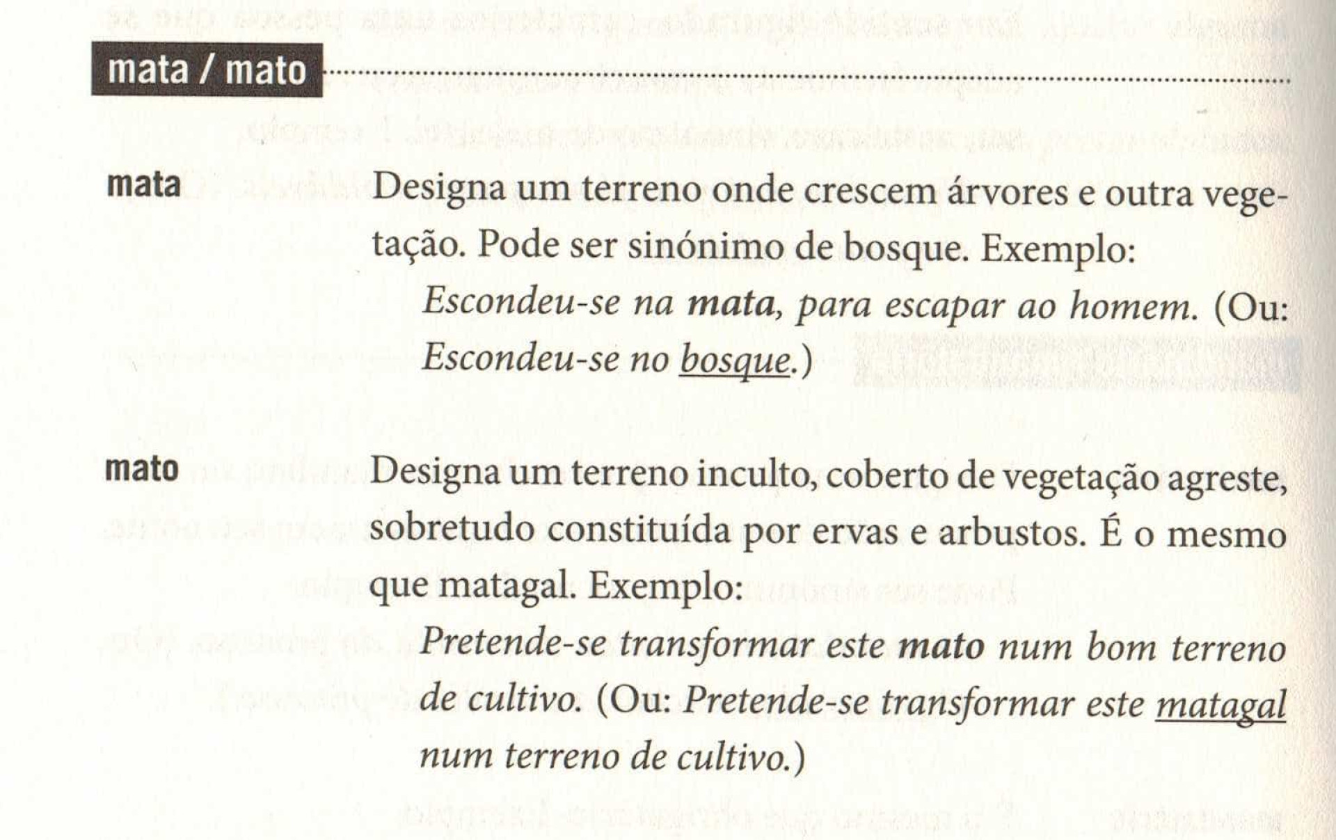 Tem dificuldade em escrever bem em português? Eis dicas que podem ajudar