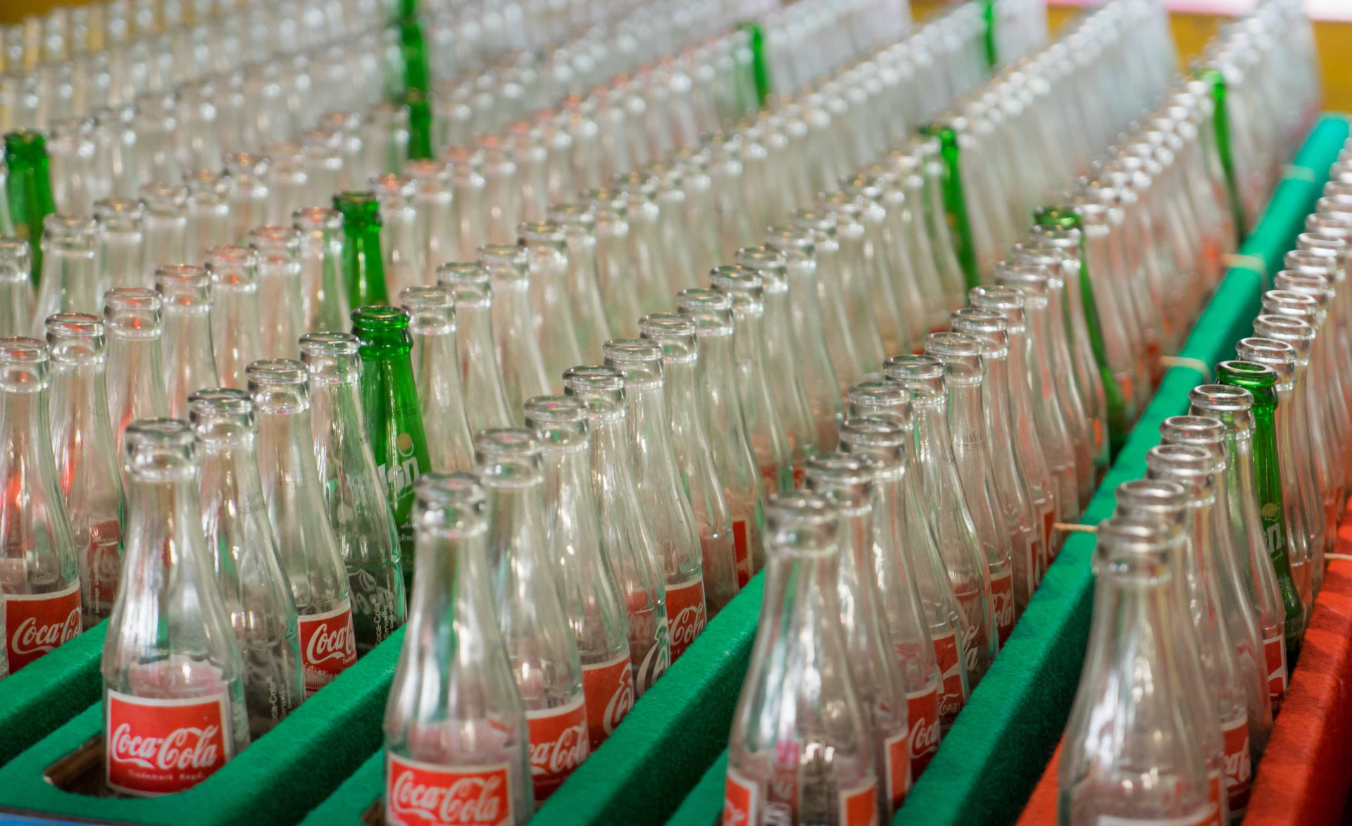 Trinta factos sobre refrigerantes que provavelmente desconhecia