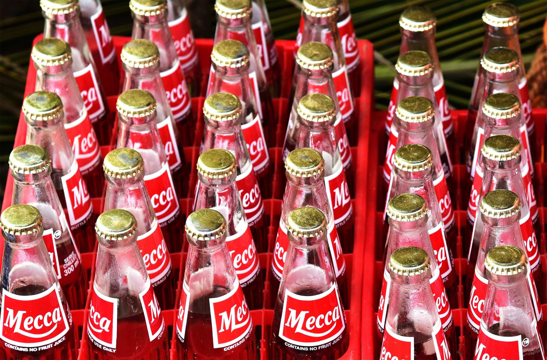 Trinta factos sobre refrigerantes que provavelmente desconhecia