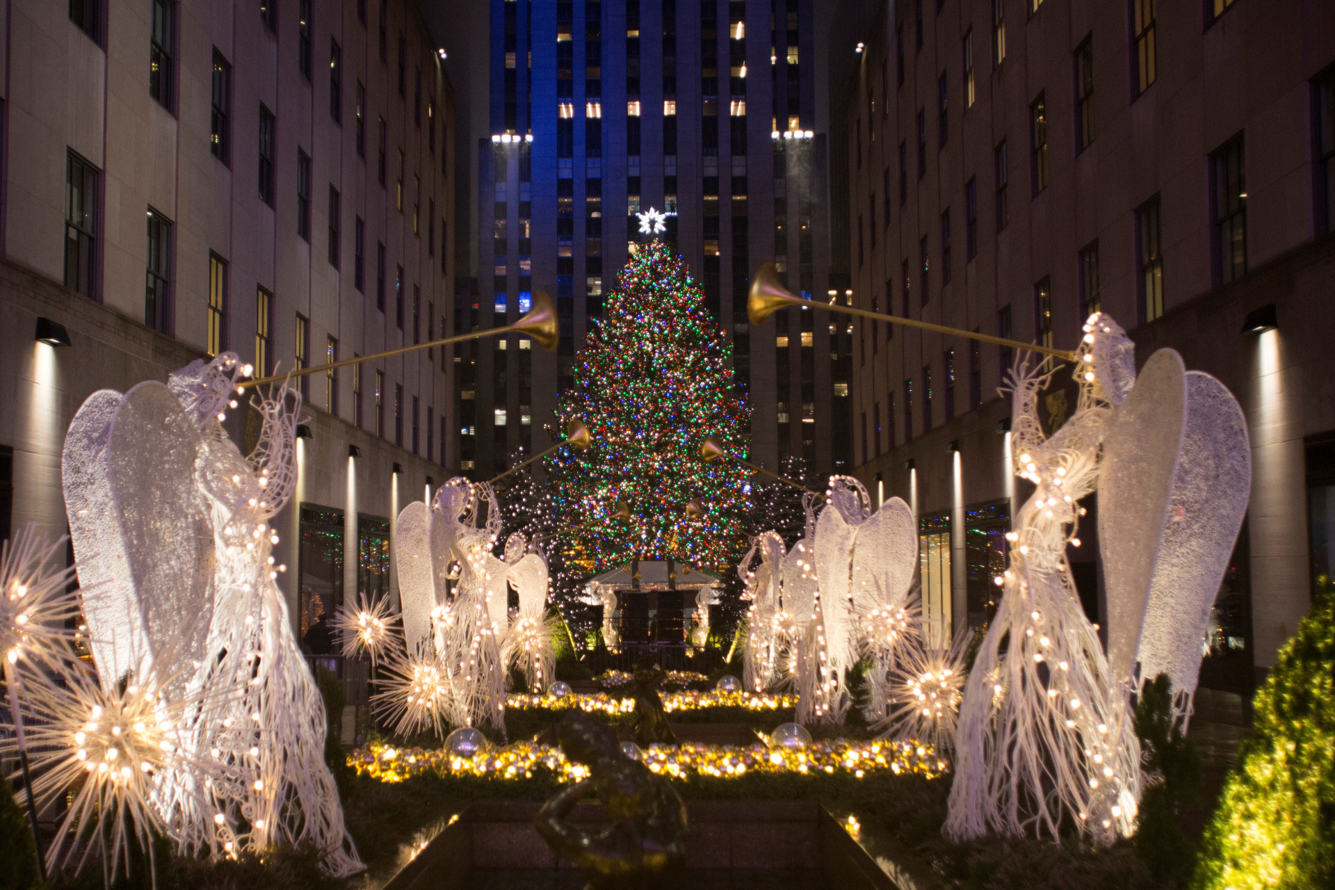 Conheça as árvores de Natal mais bonitas e extraordinárias do mundo