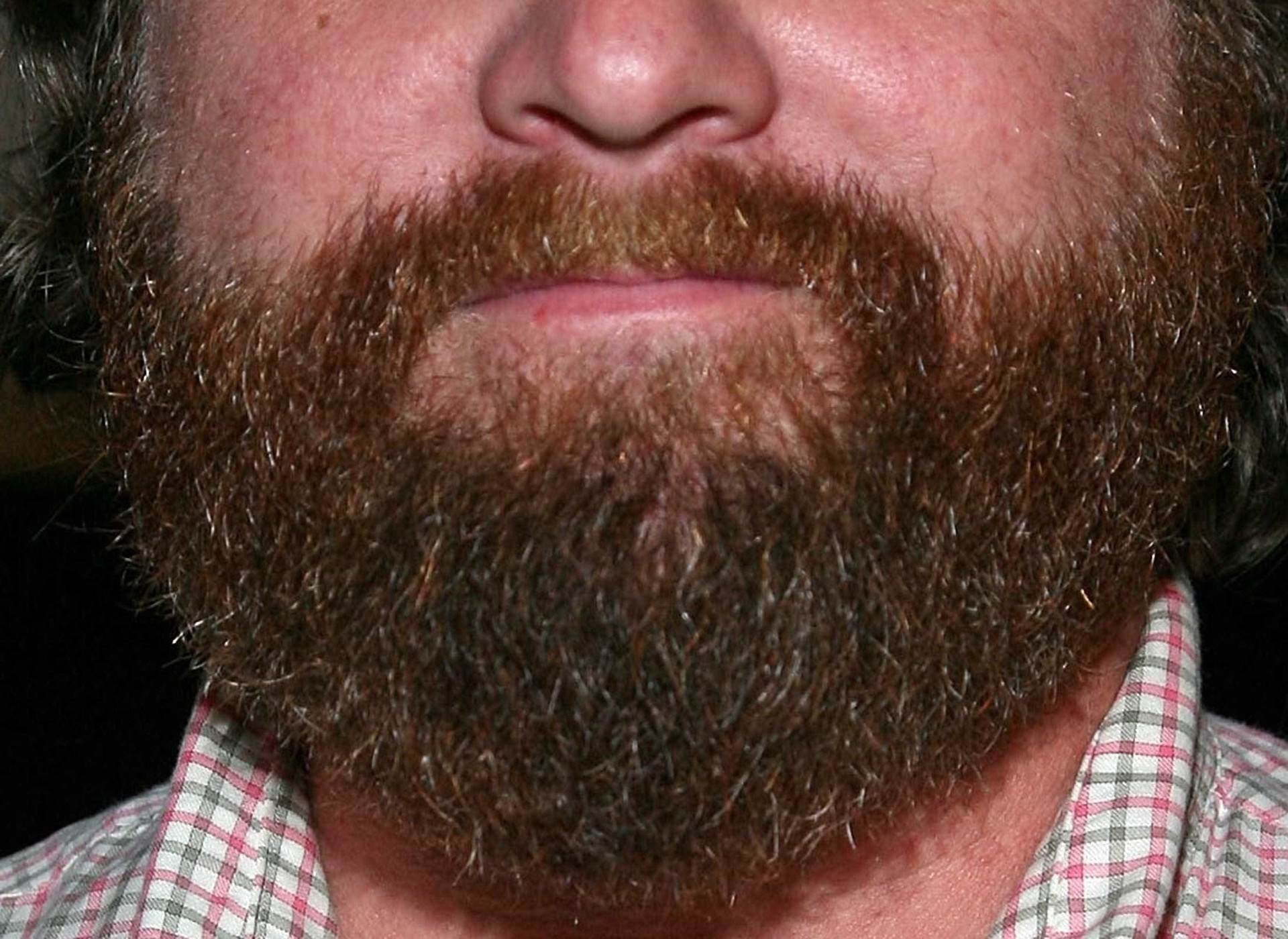 Consegue descobrir quem são estas celebridades vendo apenas a barba?
