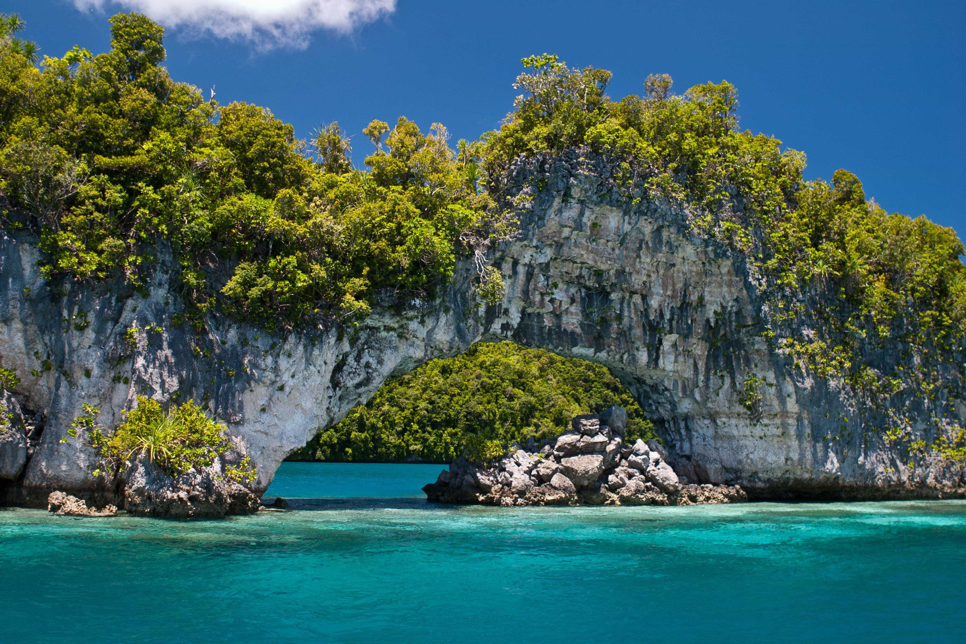 Conheça os principais destinos de ecoturismo para visitar em 2018
