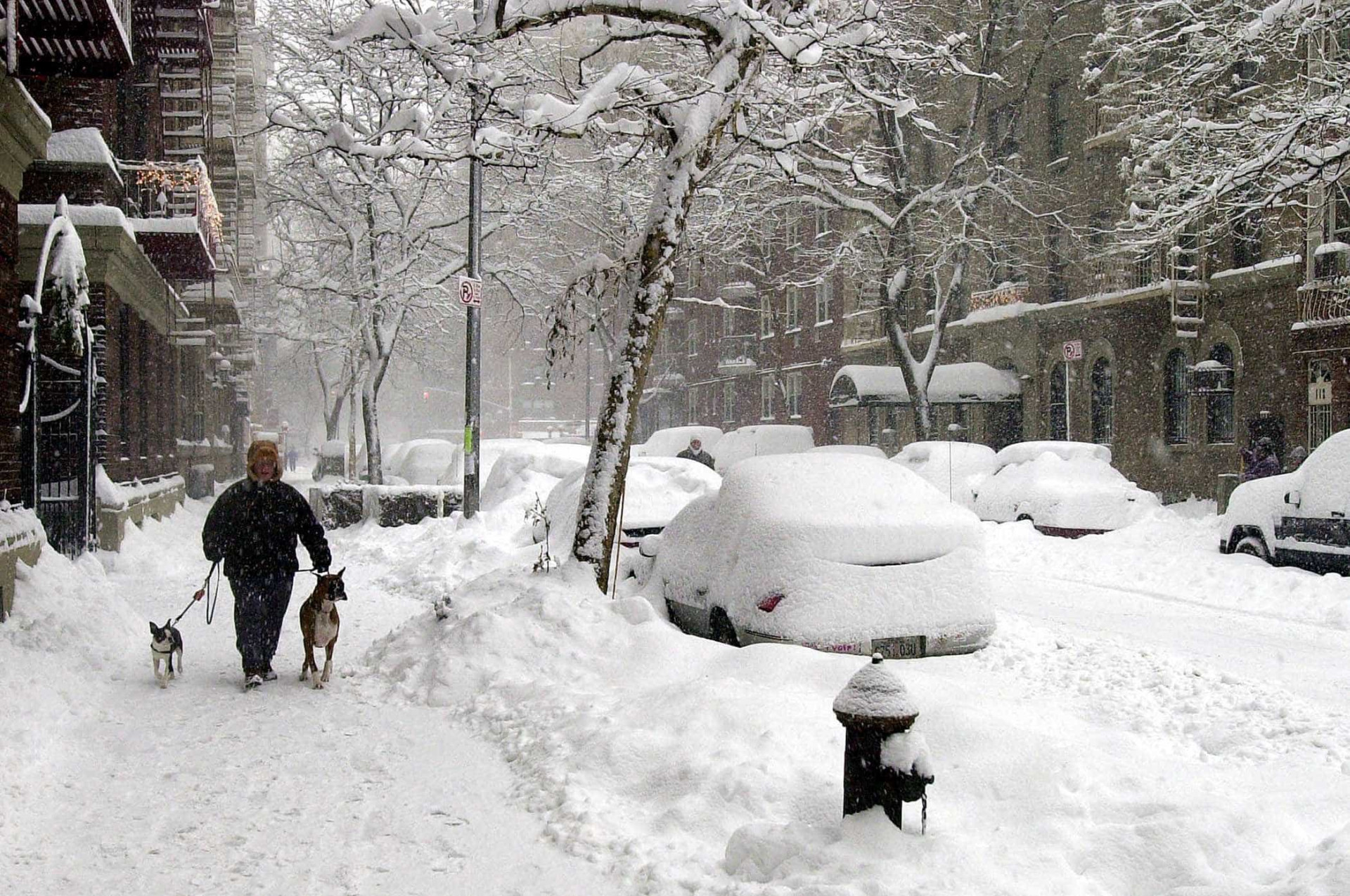 Estas foram as tempestades de neve mais devastadoras da História