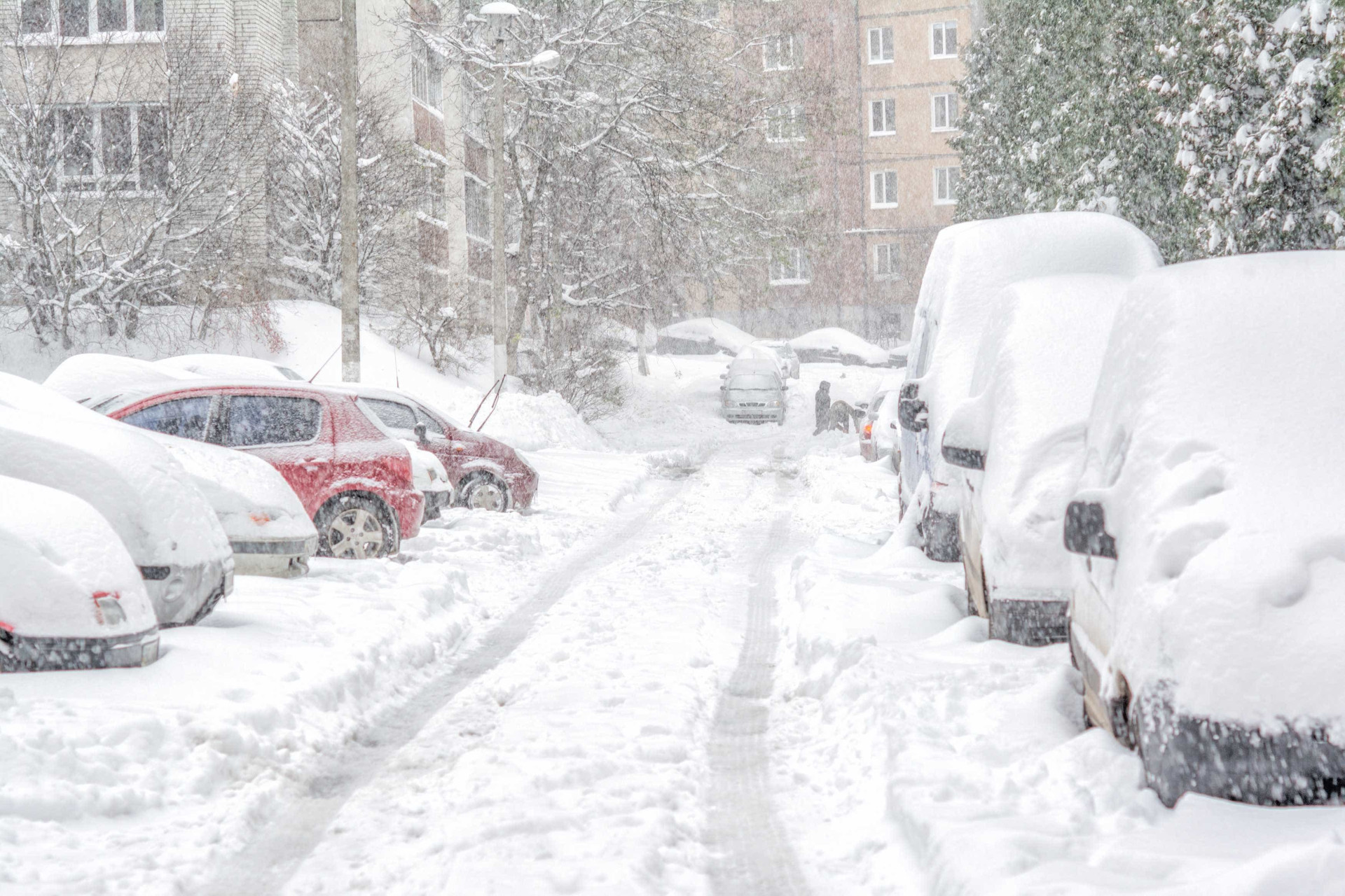 Estas foram as tempestades de neve mais devastadoras da História