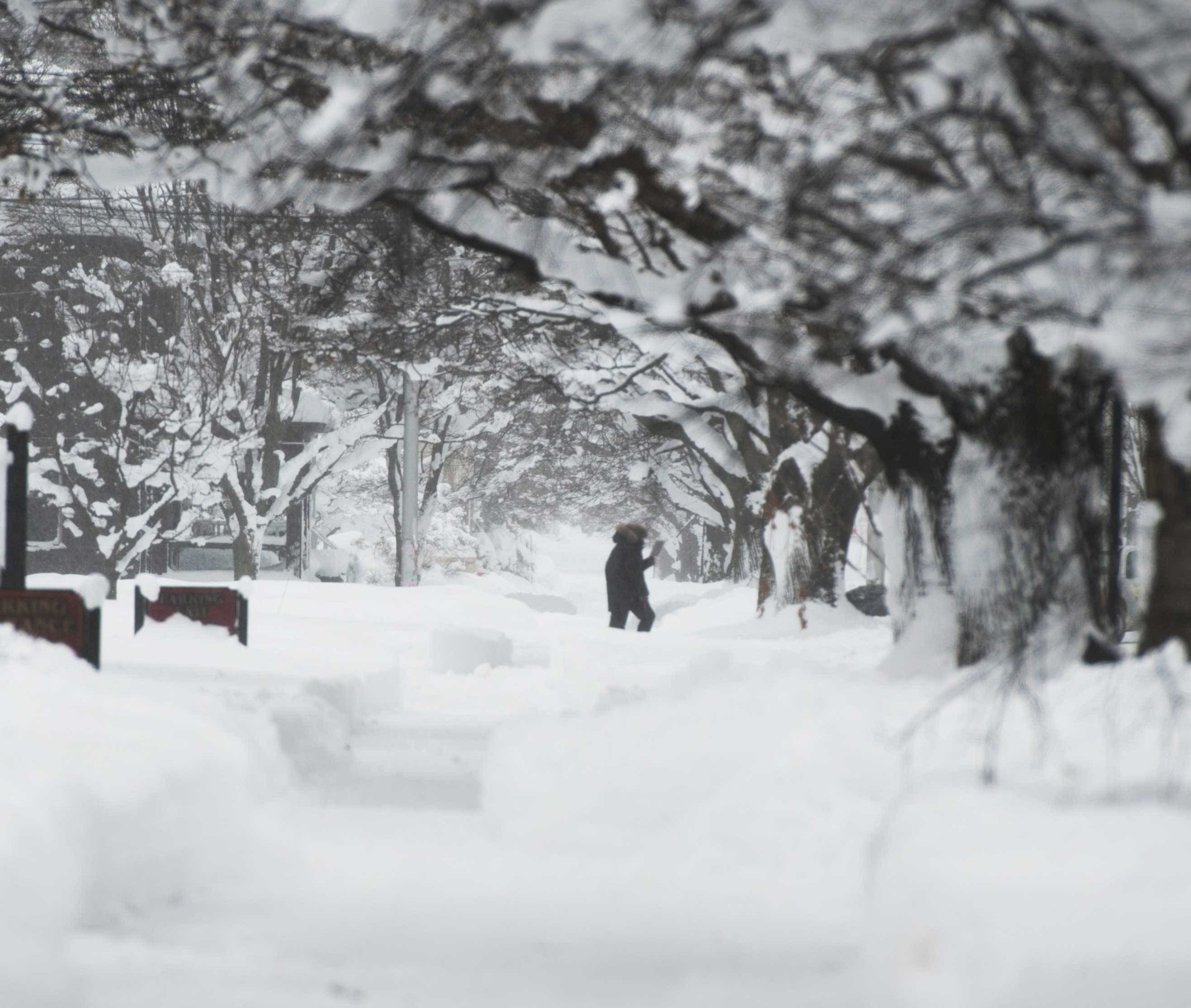 Estas foram as tempestades de neve mais devastadoras da História