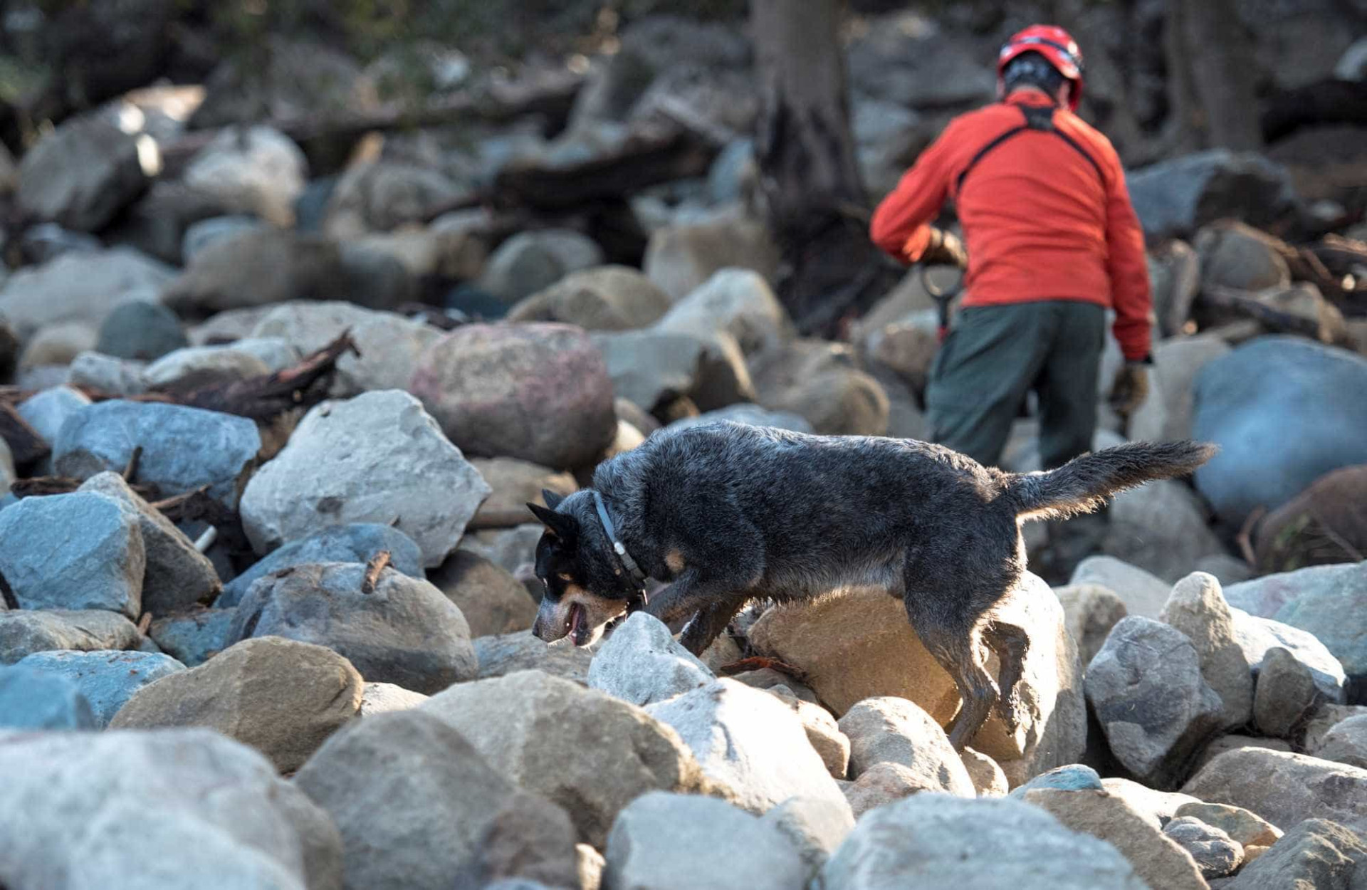 Califórnia: As imagens do caos provocado pelo deslizamento de terras