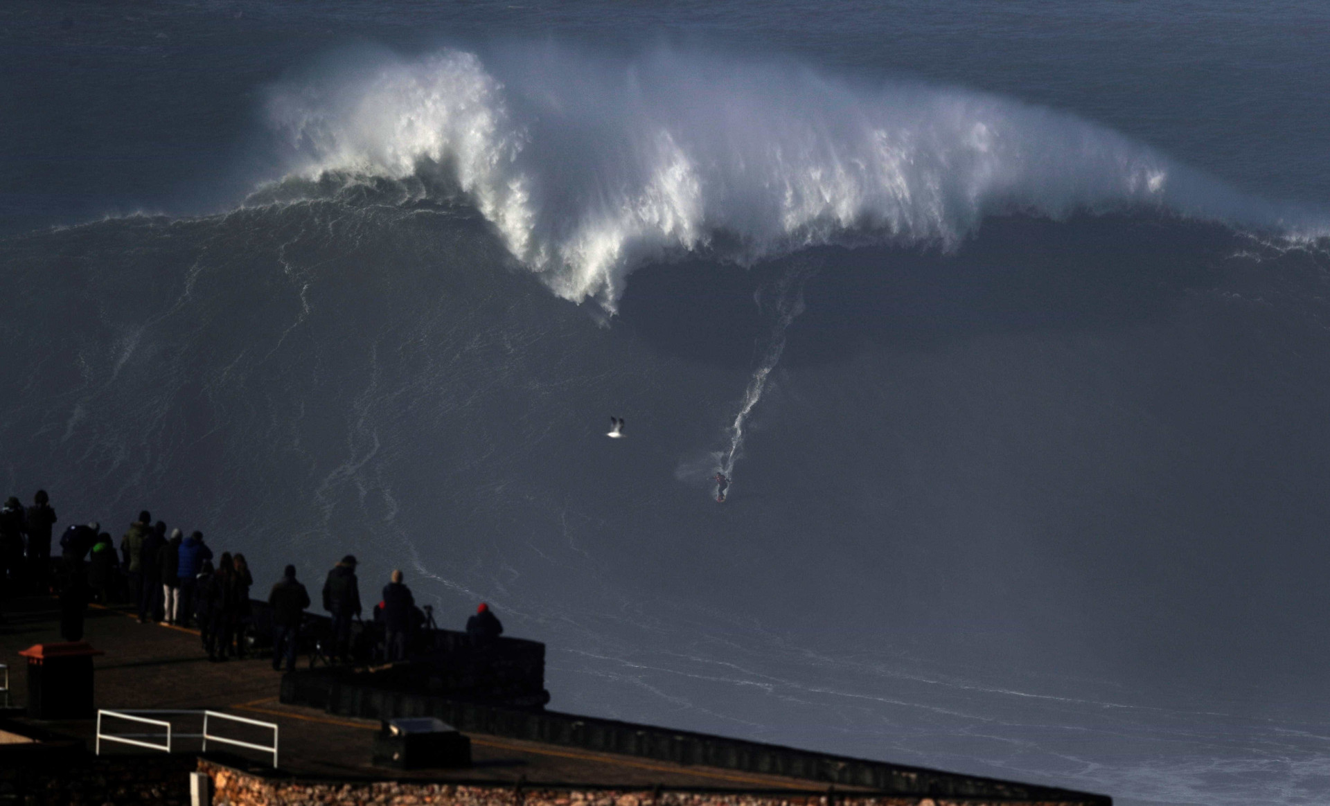 'Cavalgar' ondas gigantes. As imponentes vagas da Nazaré