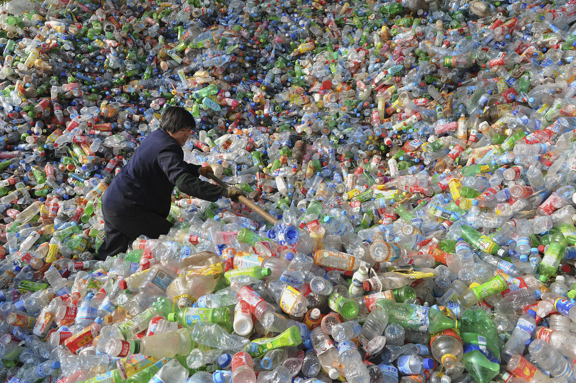 Aprenda a reduzir o consumo de plástico e de papel. O planeta agradece