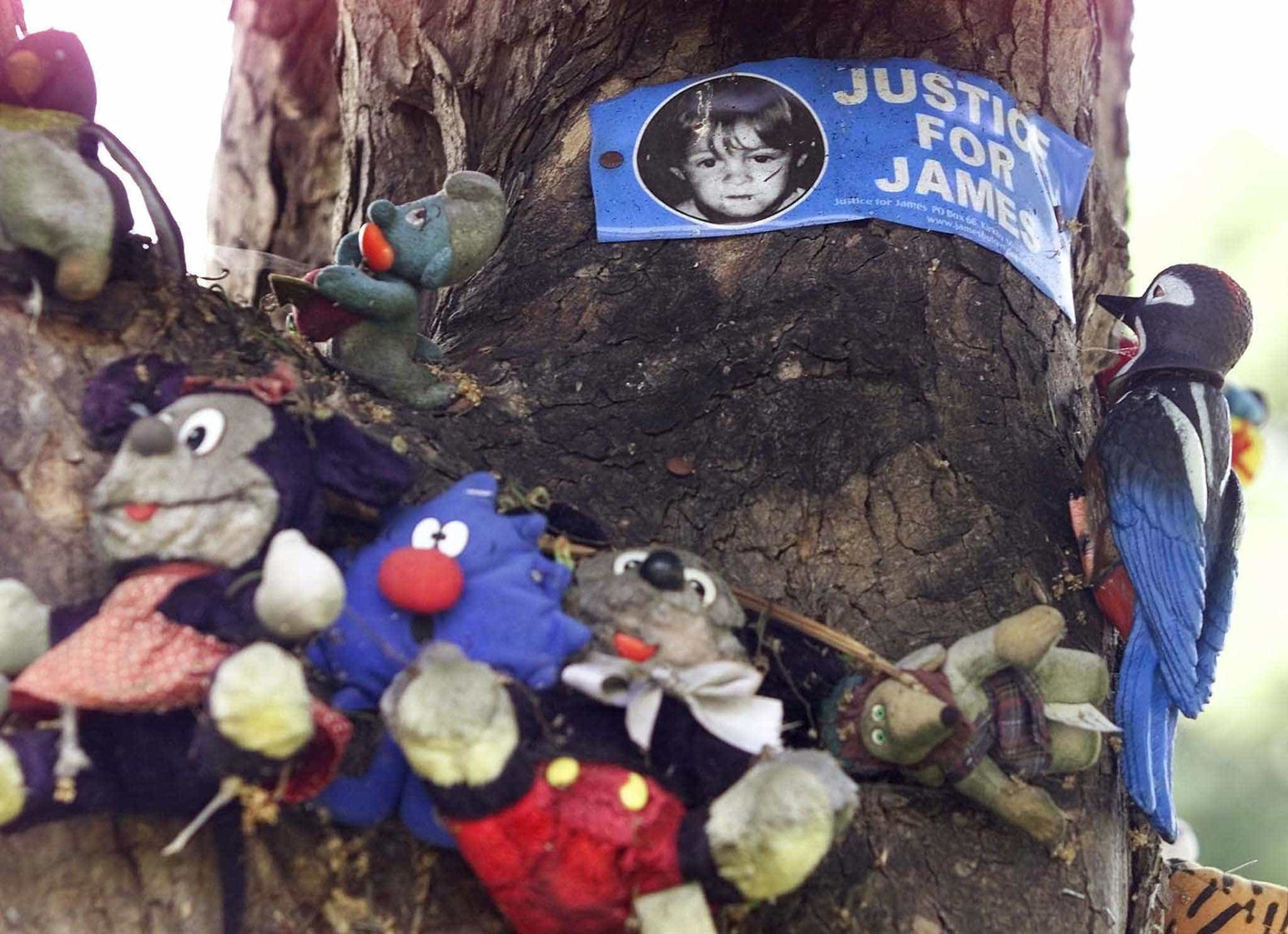 James Bulger, a criança que foi assassinada por outras duas crianças