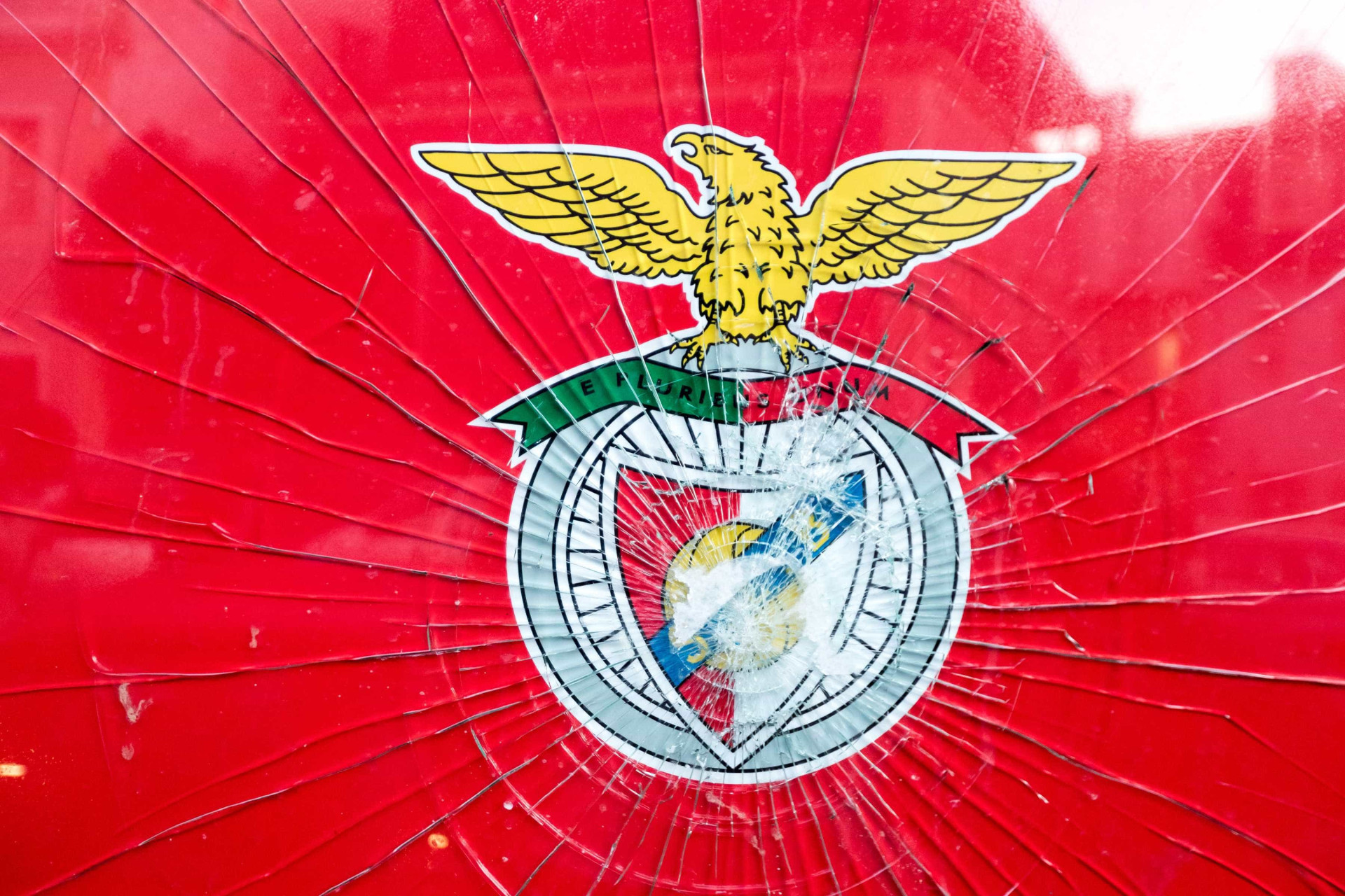 Nova Casa do Benfica em Braga vandalizada antes da visita de Vieira