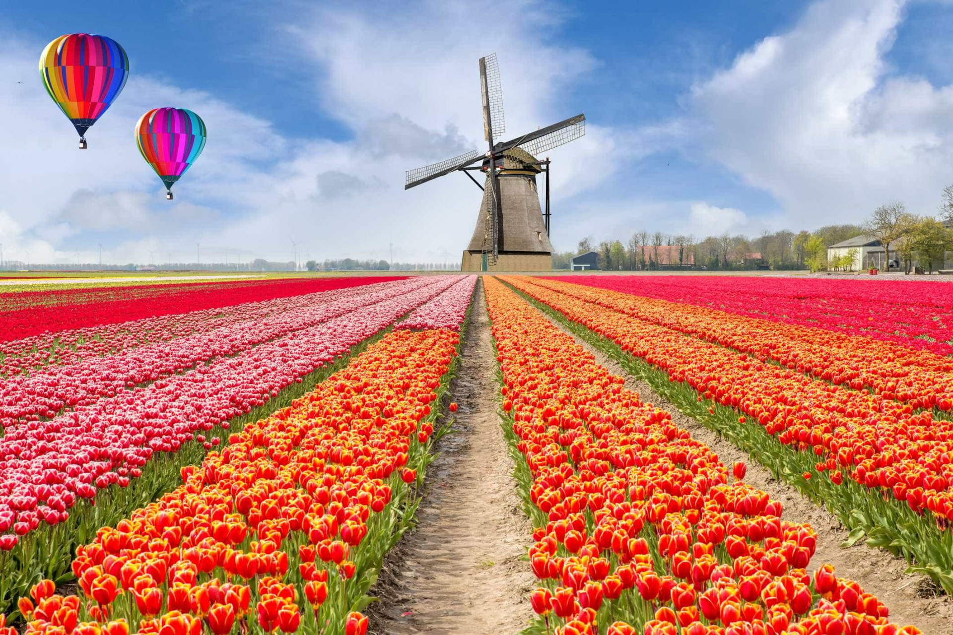 Os melhores locais para visitar durante a primavera