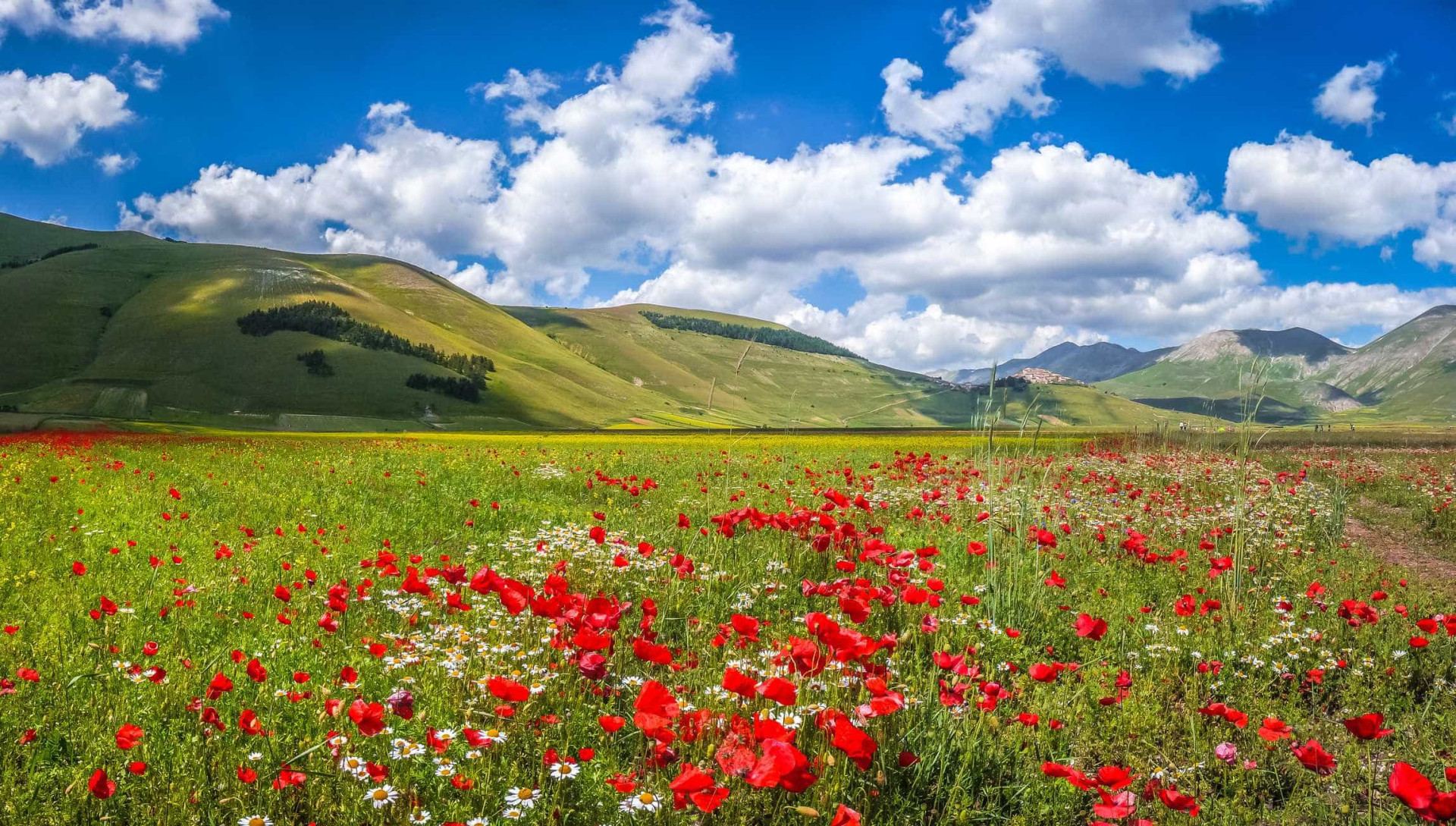 Os melhores locais para visitar durante a primavera