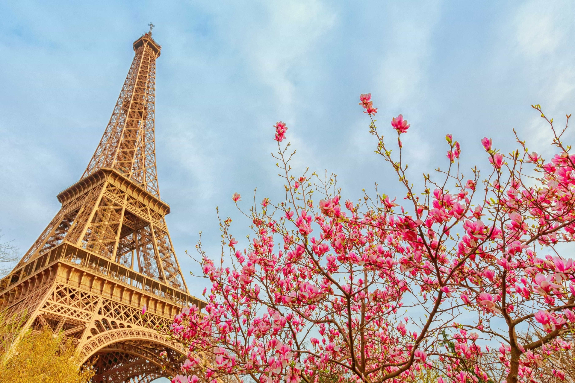 Os melhores locais para visitar durante a primavera