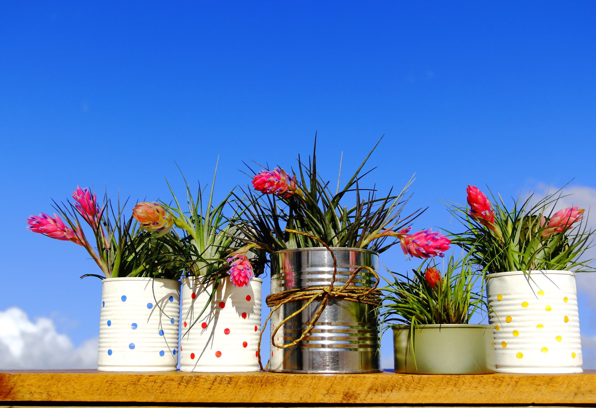 Decore a casa com estes materiais reciclados