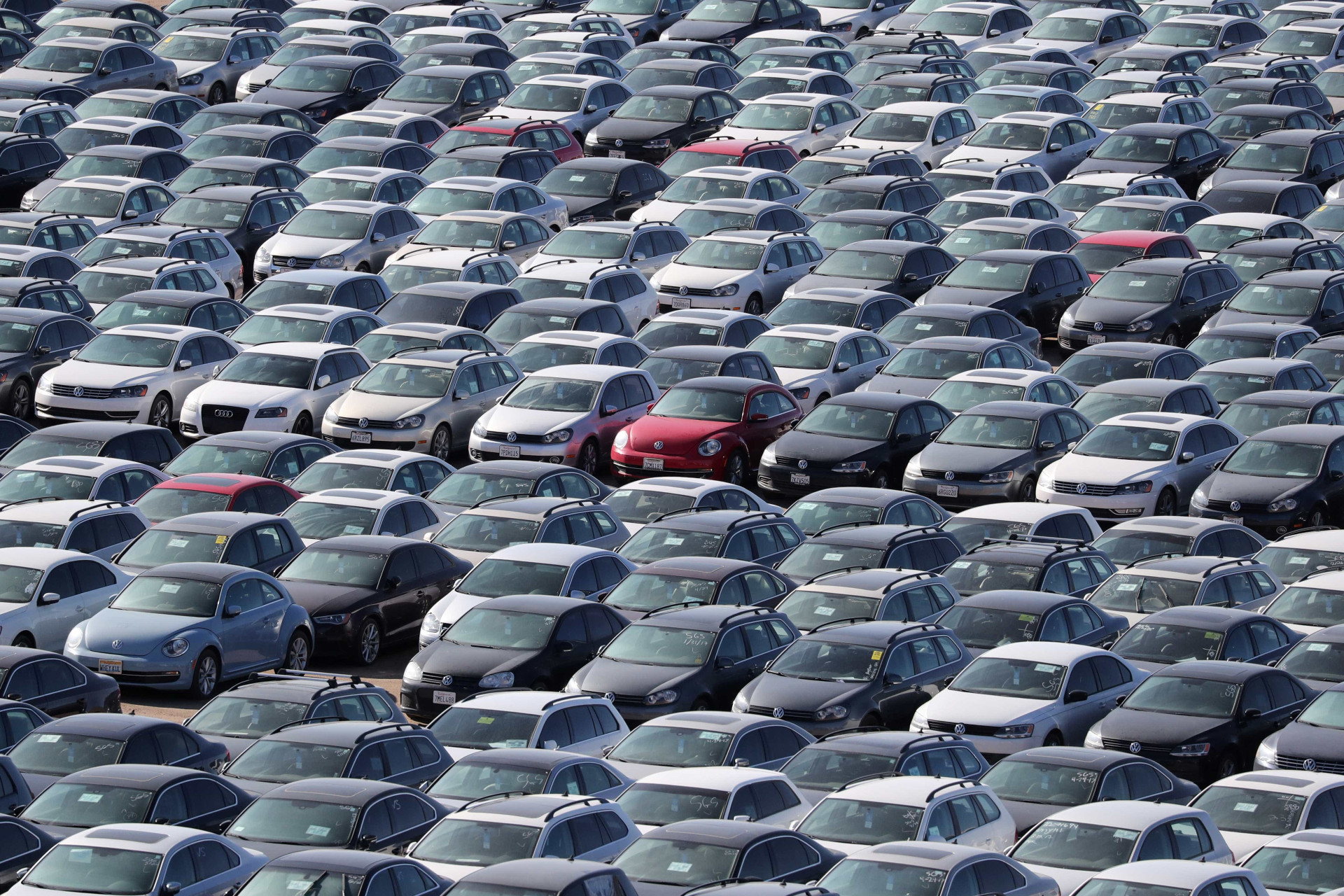 Recorda-se do escândalo da Volkswagen? Veja o que é feito dos carros