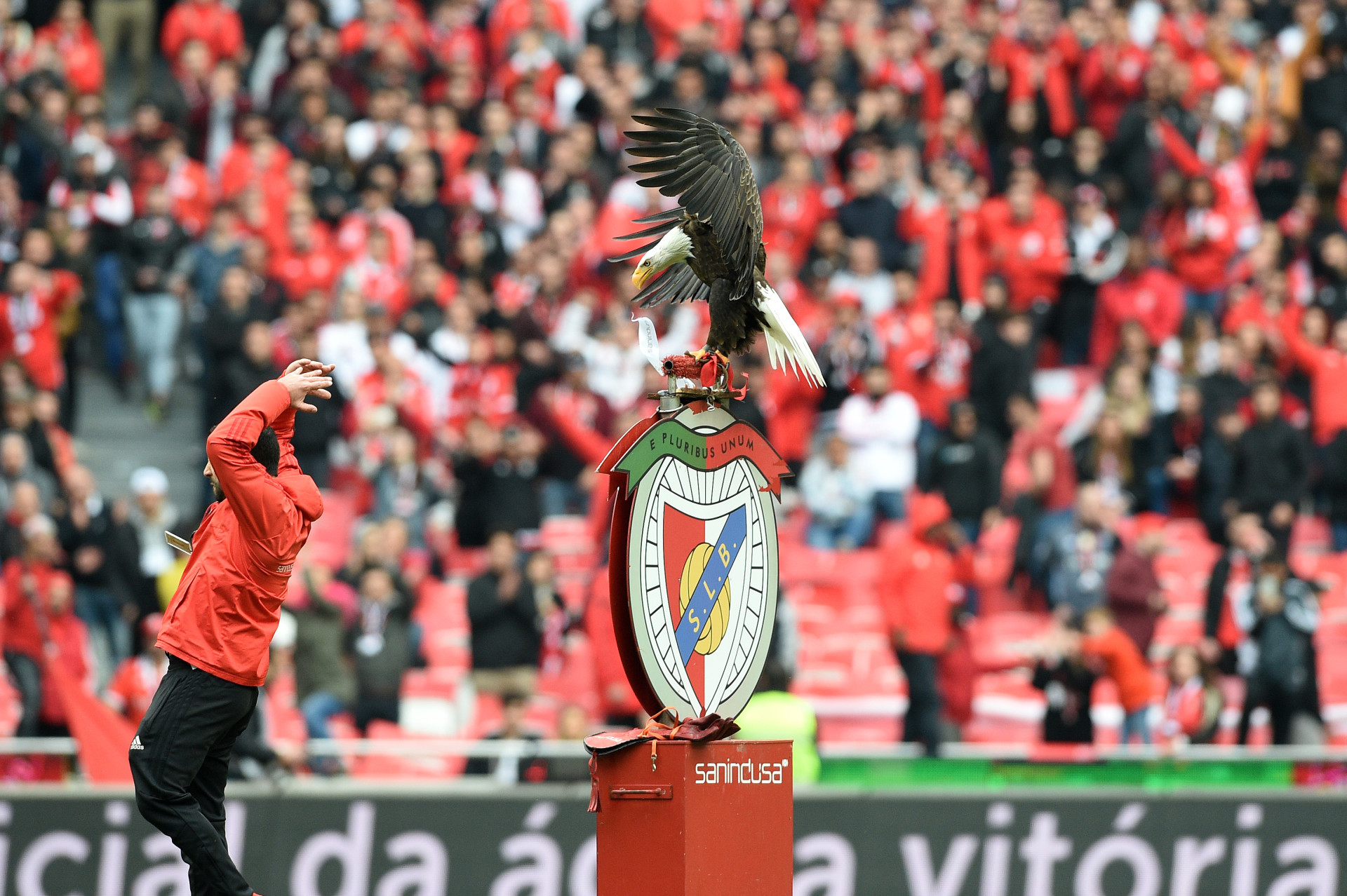 Benfica-FC Porto: O Clássico do ano em imagens