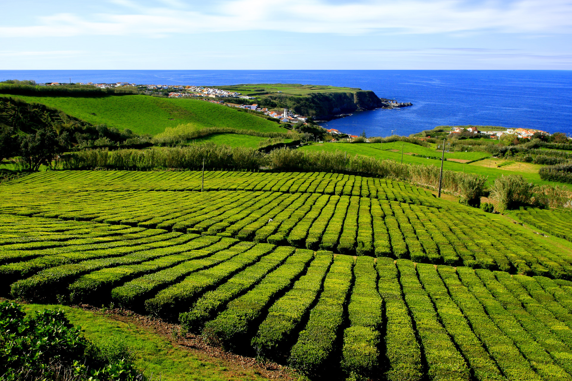 Açores: Explore o segredo mais bem guardado da Europa
