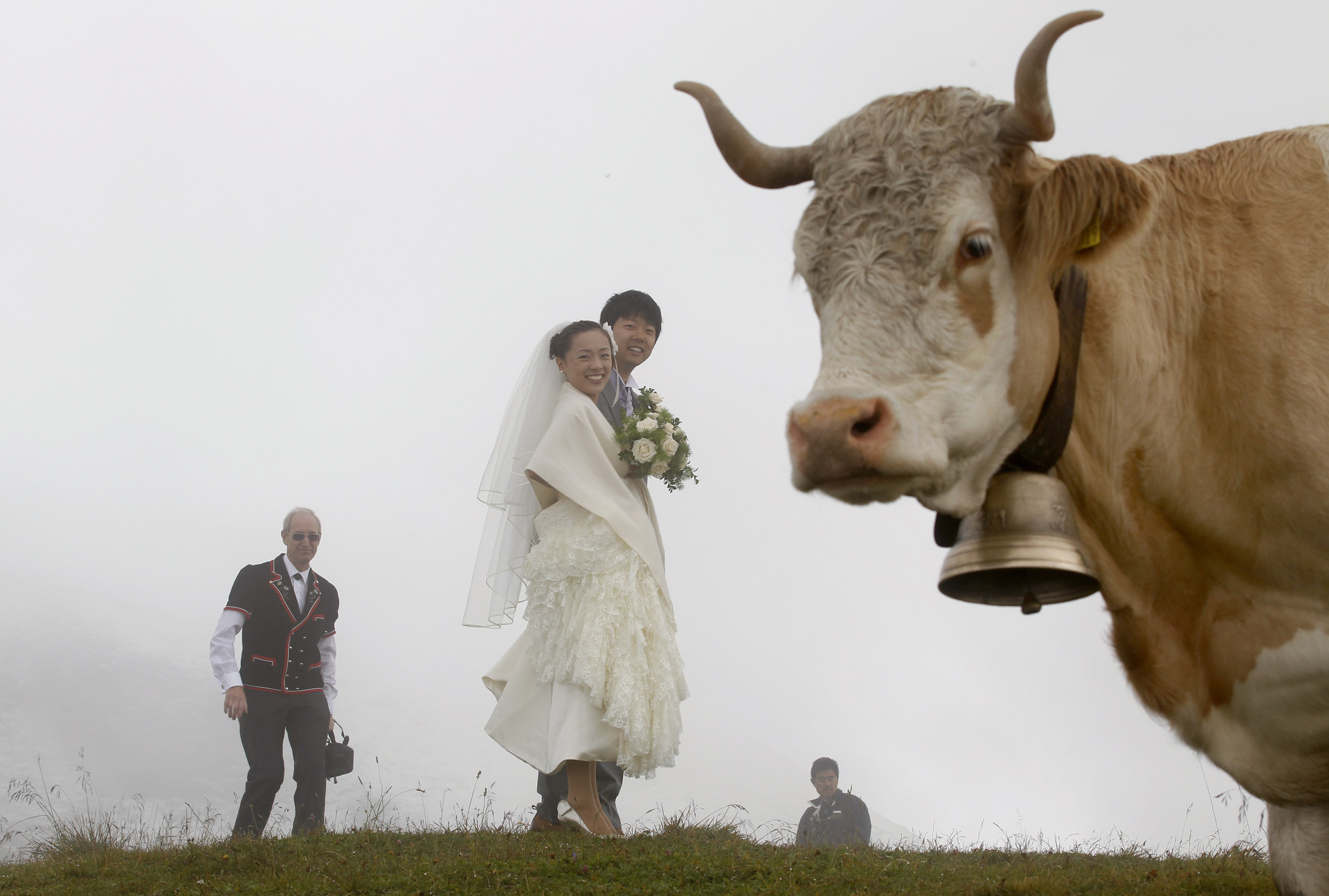 As mais insólitas fotografias de casamento (Porque nem tudo corre bem...)