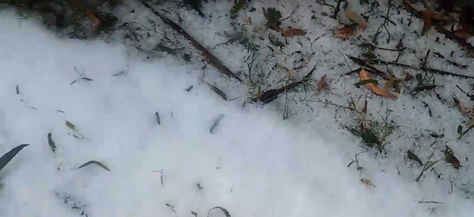 Granizo pinta de branco serra algarvia e causa danos em Alcoutim