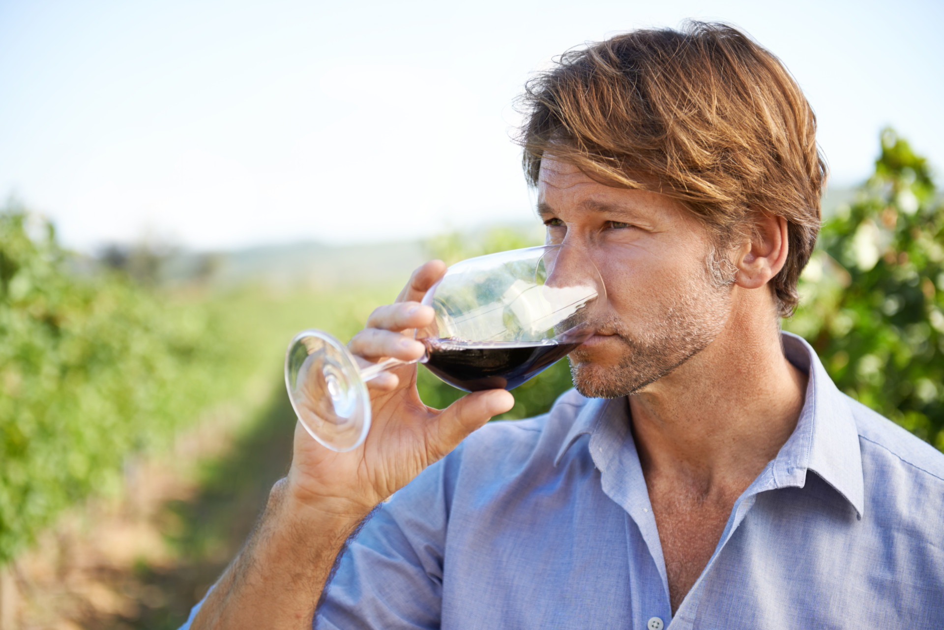 Saiba como degustar vinho como um profissional