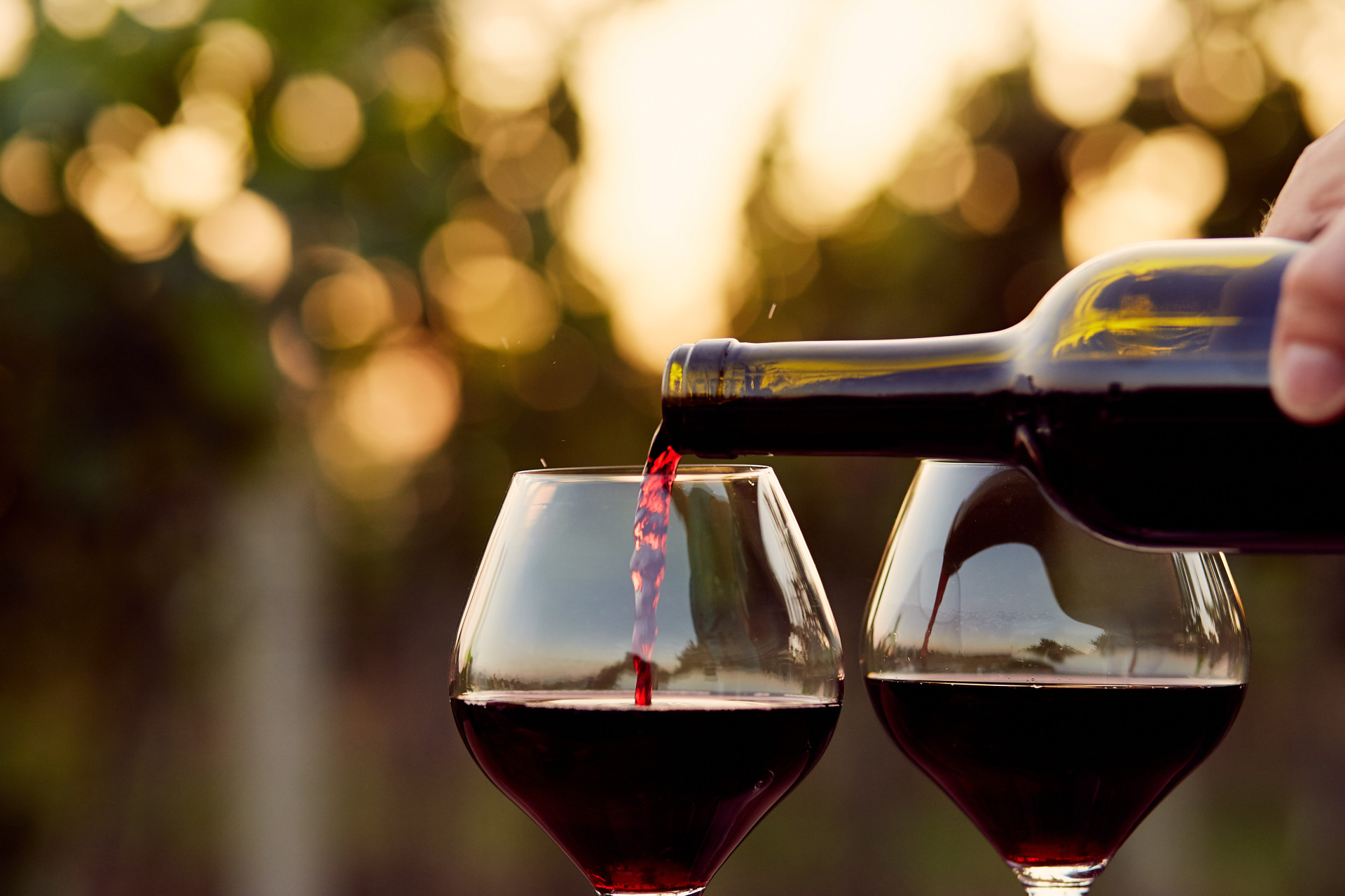 Saiba como degustar vinho como um profissional