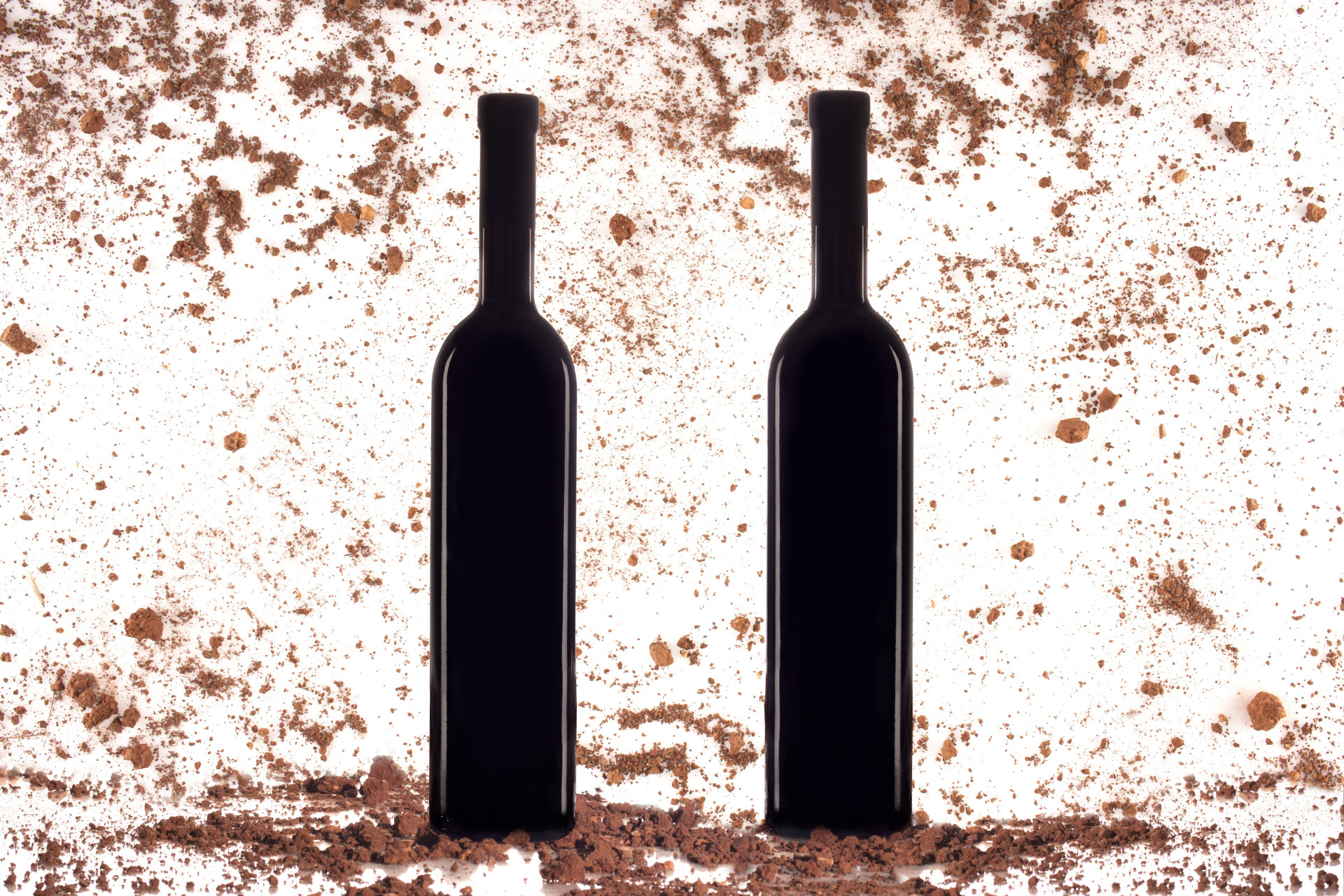 Saiba como degustar vinho como um profissional
