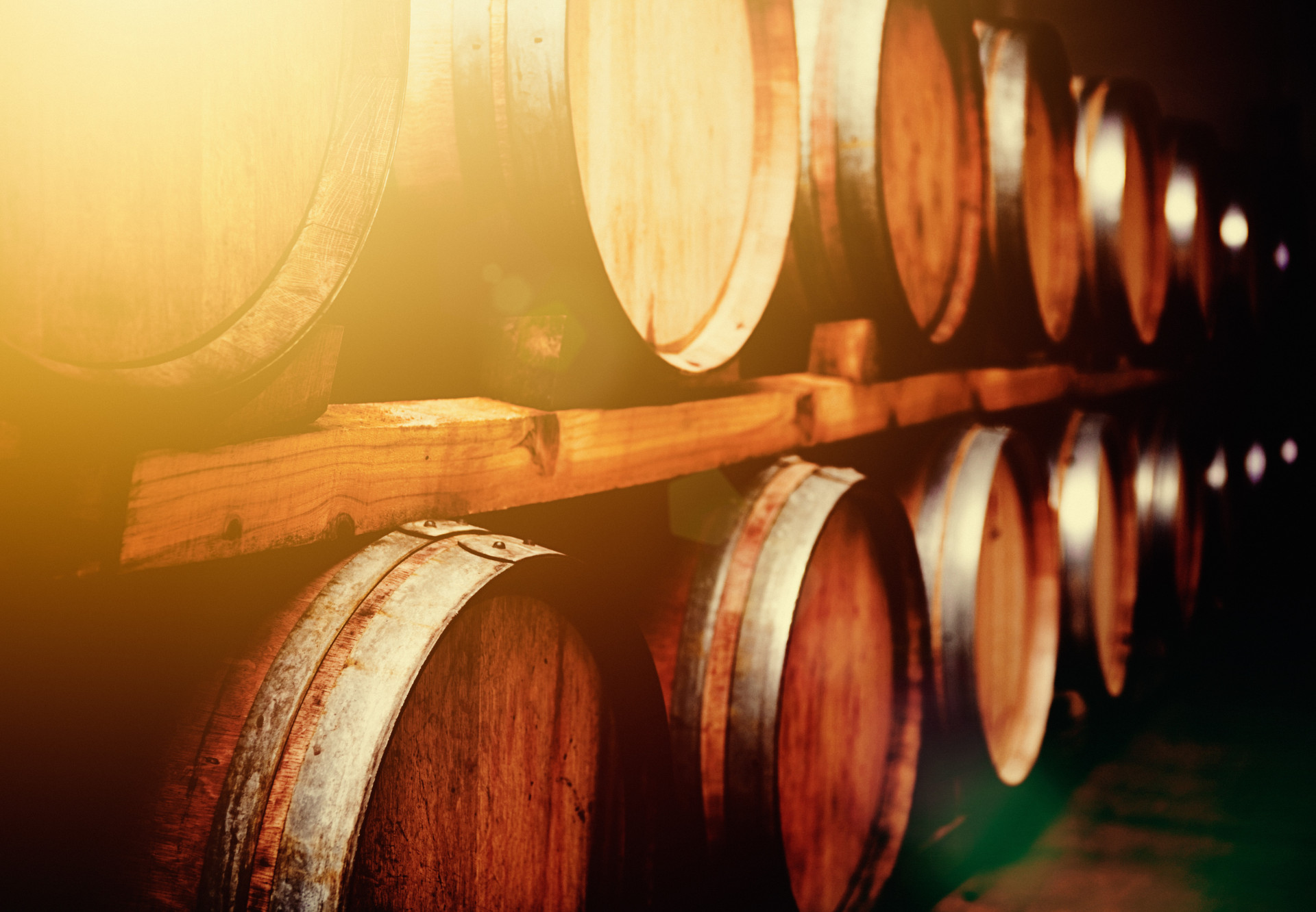 Saiba como degustar vinho como um profissional