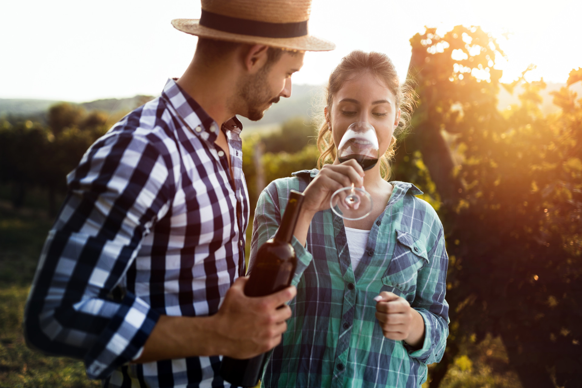 Saiba como degustar vinho como um profissional