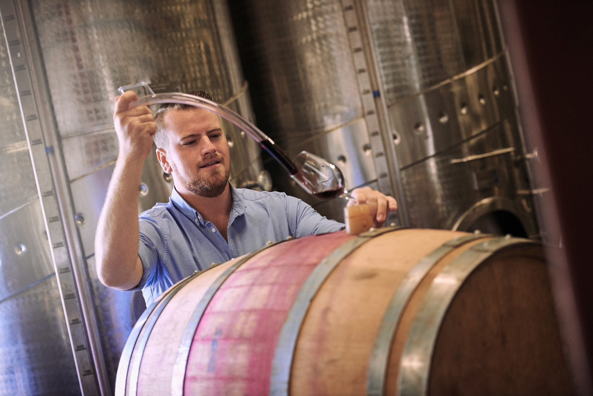 Saiba como degustar vinho como um profissional