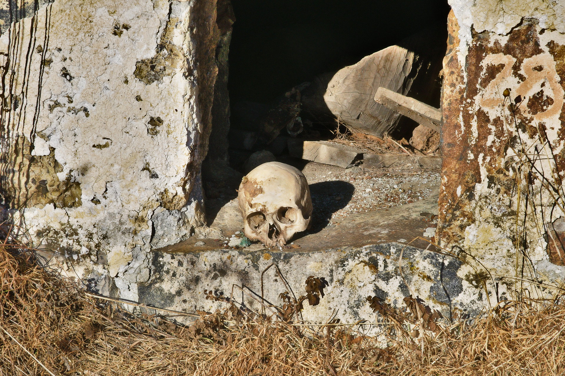 Dargavs: Arrepie-se com a misteriosa 'Cidade dos Mortos'