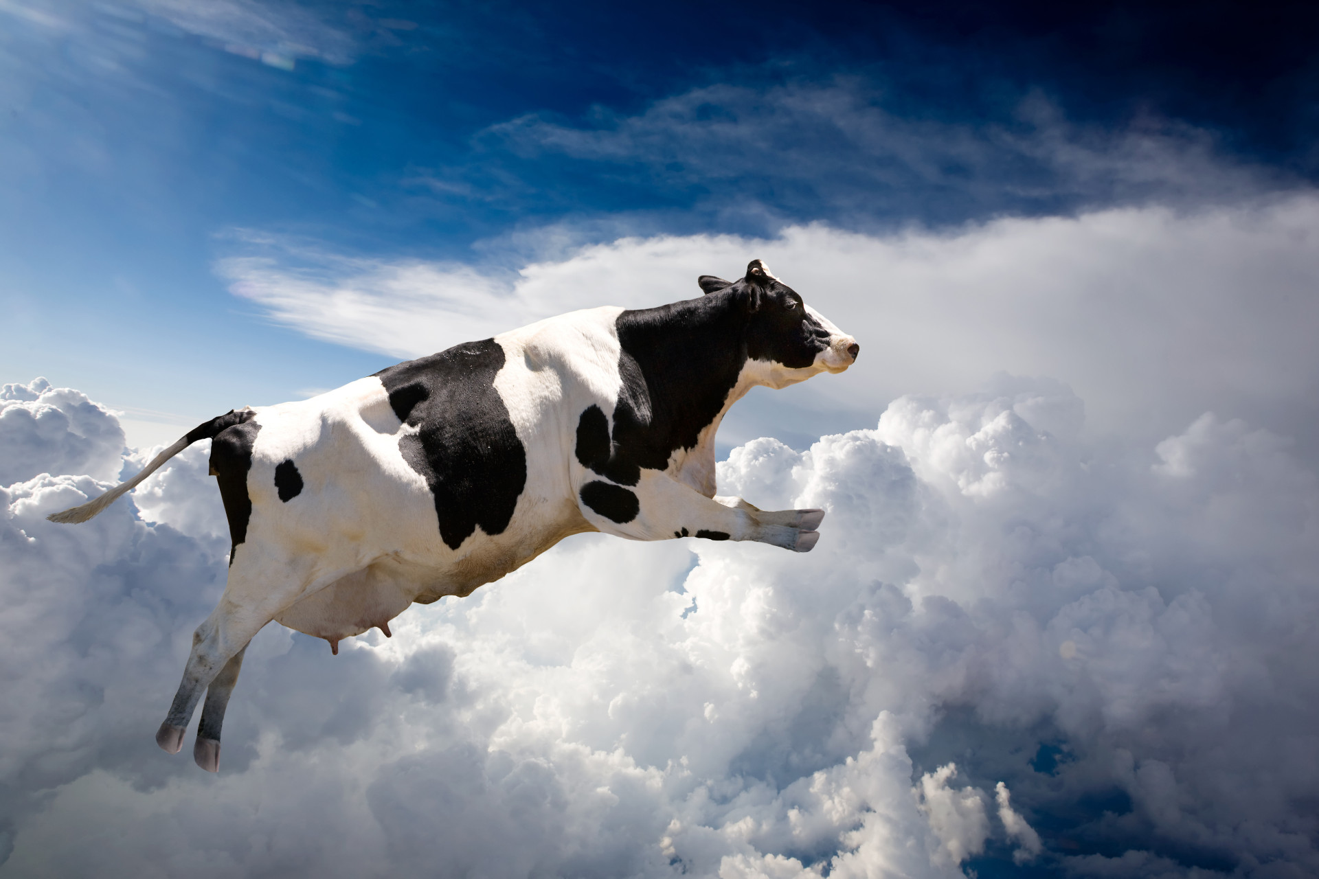 Os objetos mais estranhos que já caíram do céu (sim, leu bem)