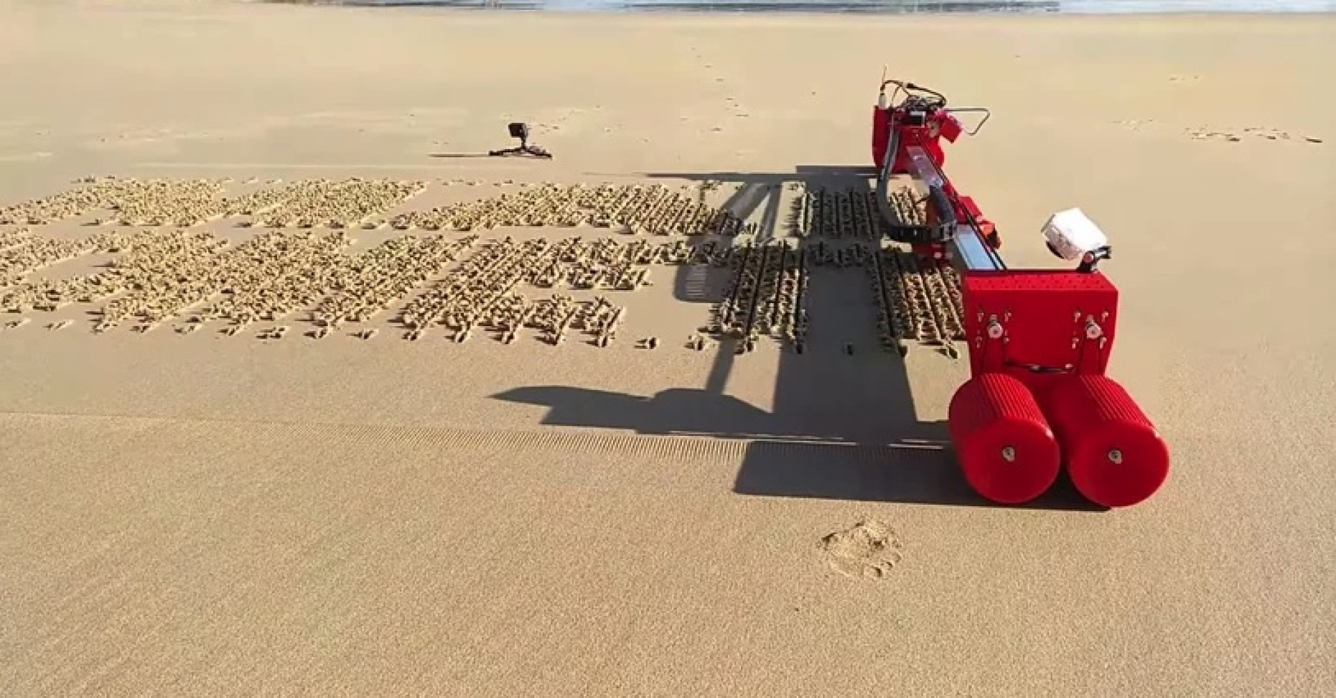 Este robot ajuda-o a escrever mensagens na praia