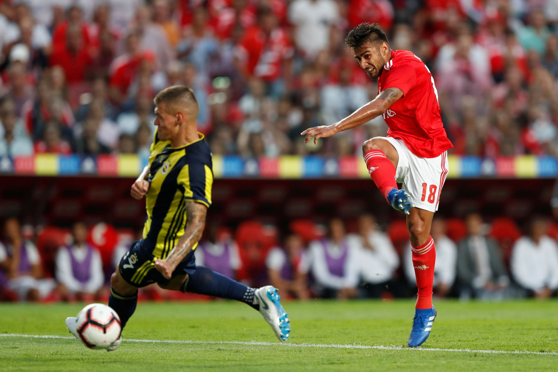 Benfica-Fenerbahçe: As imagens que não viu na televisão