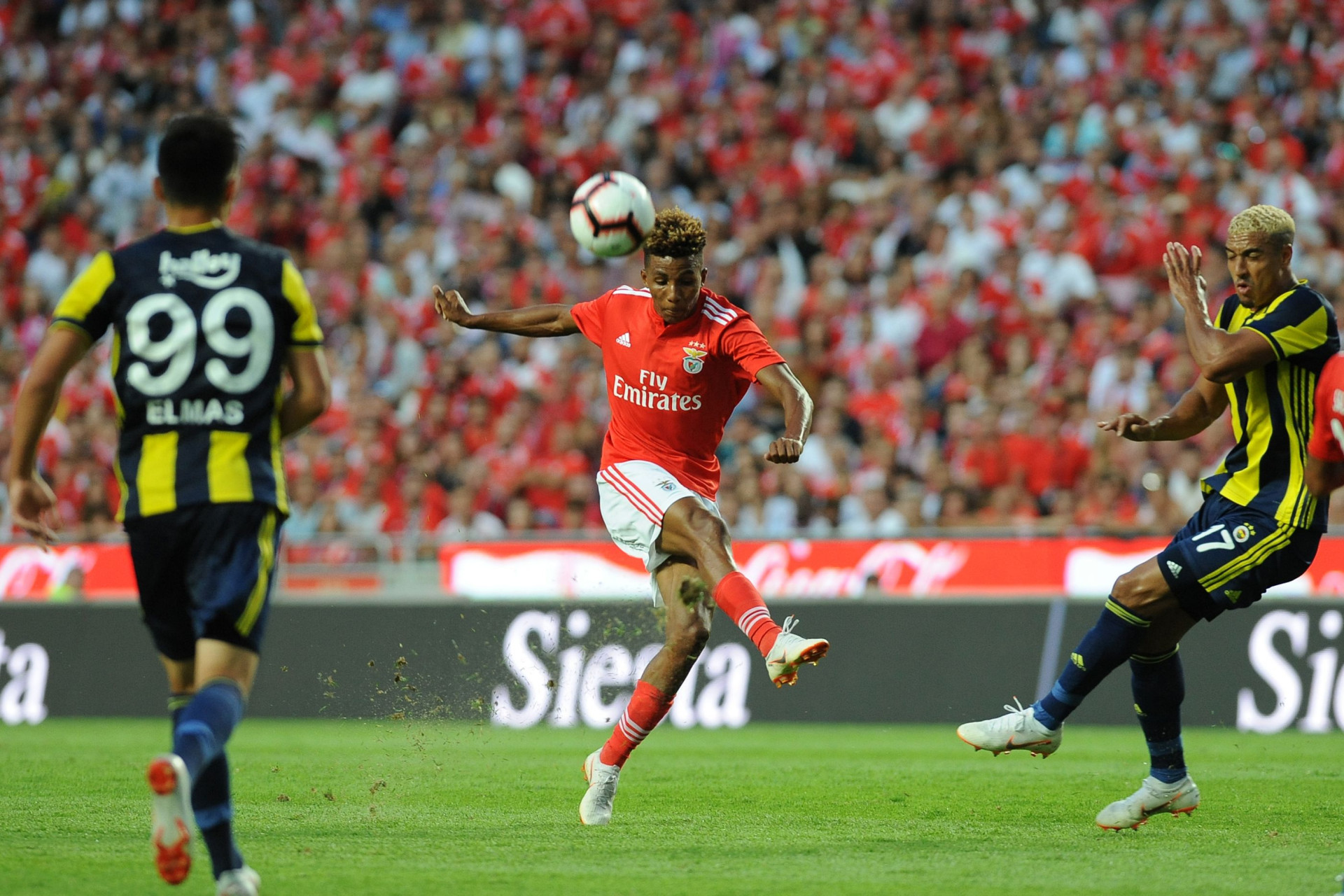 Benfica-Fenerbahçe: As imagens que não viu na televisão