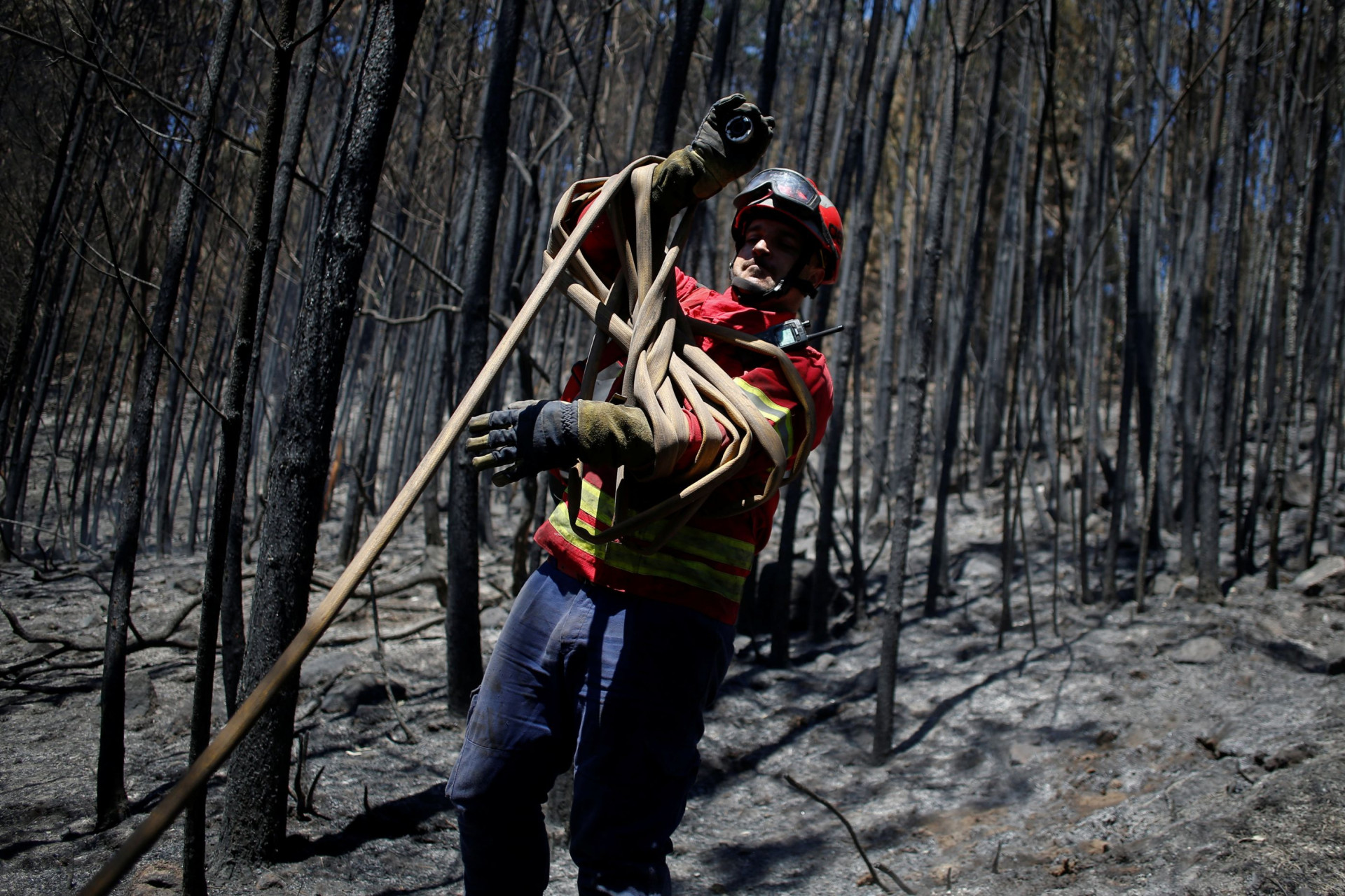 Portugal em cinzas aos olhos da Reuters