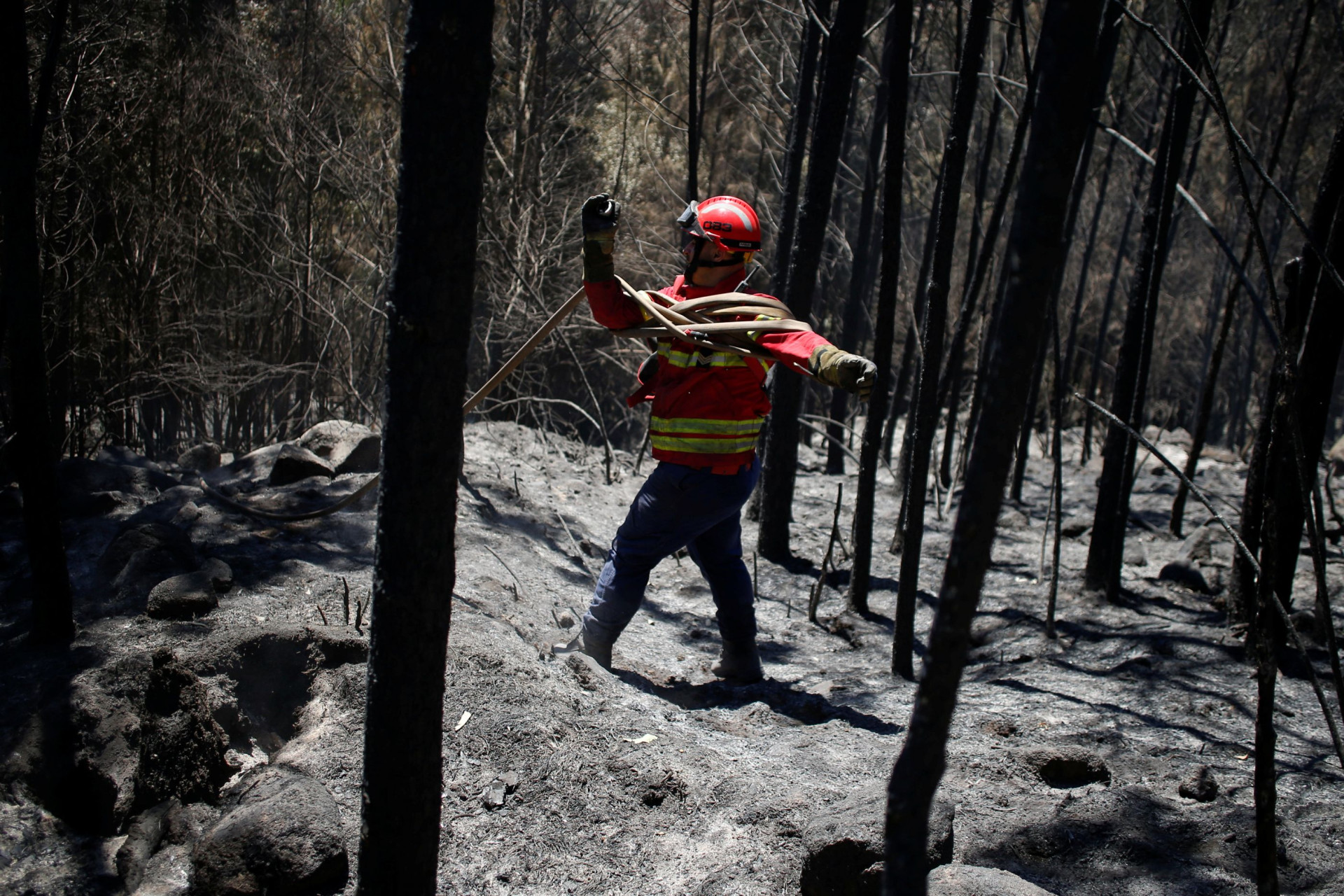 Portugal em cinzas aos olhos da Reuters