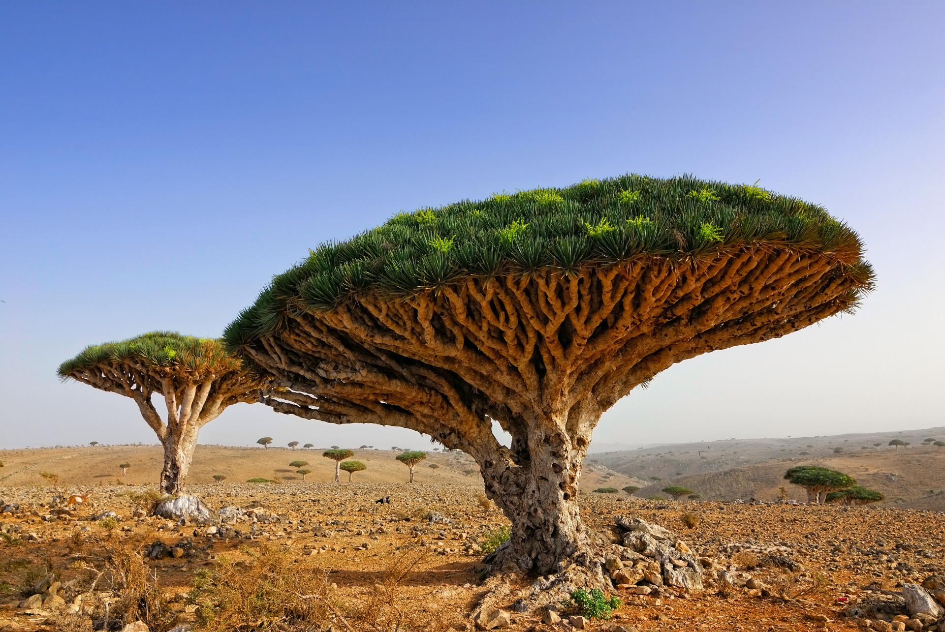 Acredita que estas paisagens pertencem ao planeta Terra?