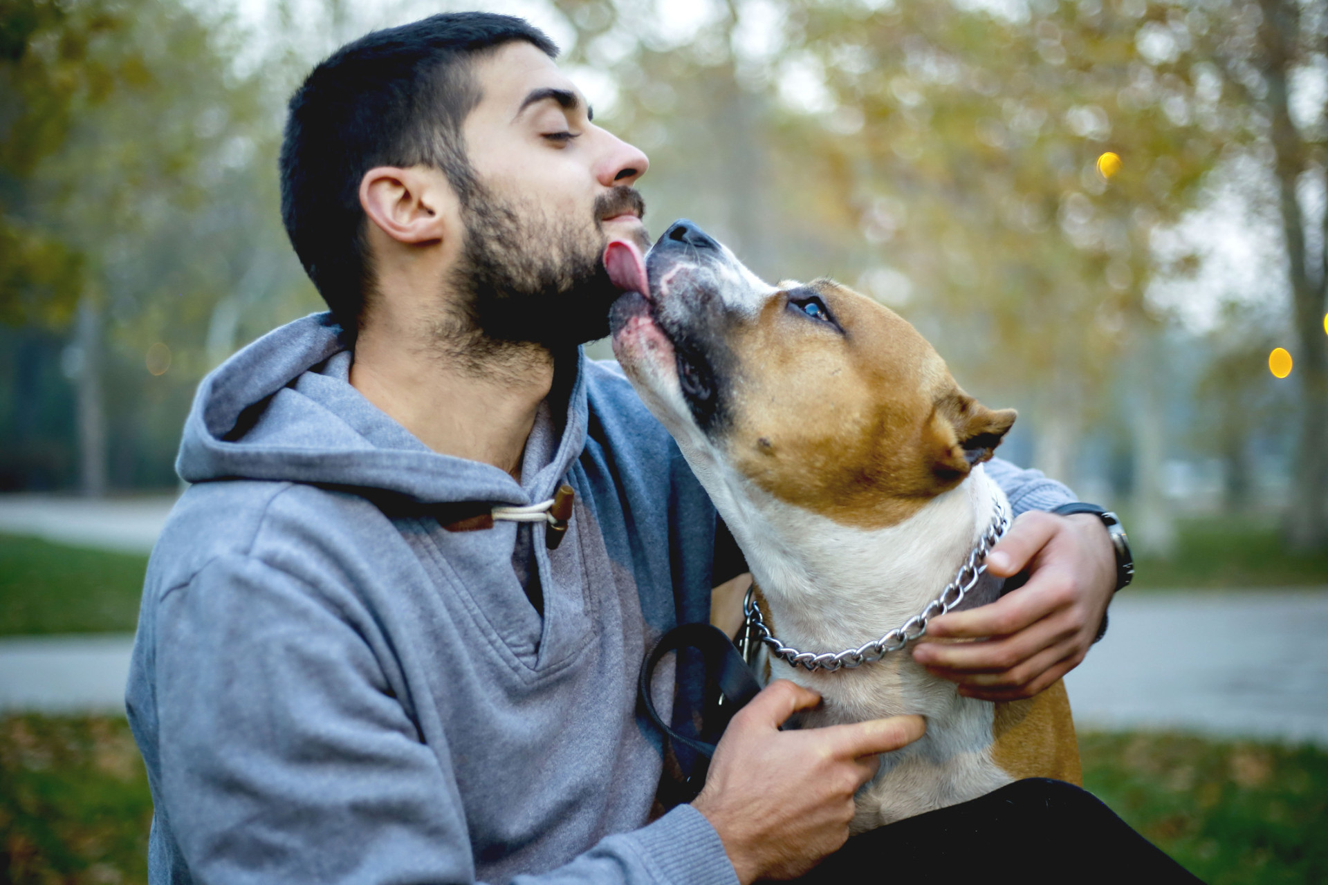 As melhores raças de cães para quem sofre de depressão