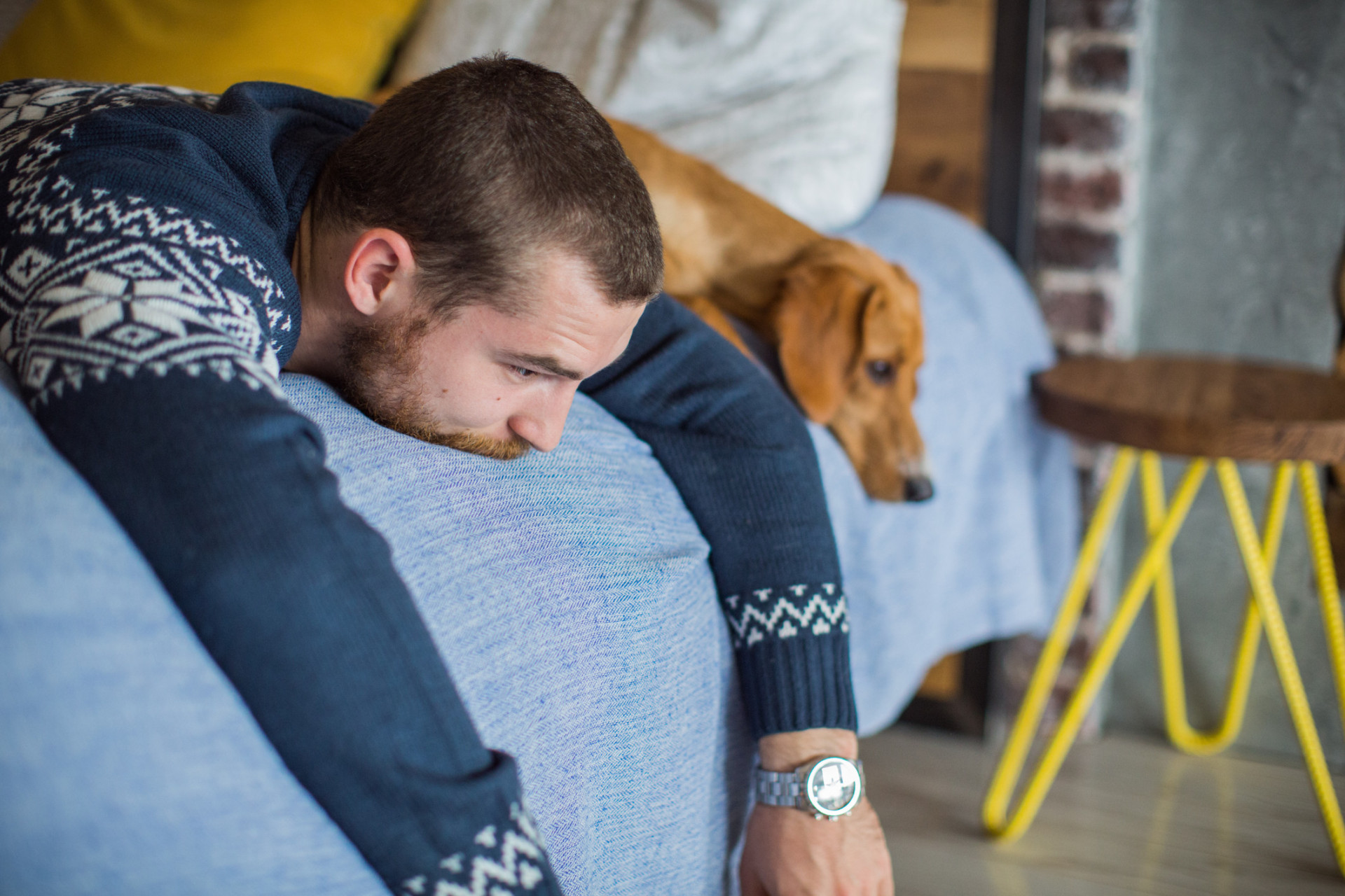 As melhores raças de cães para quem sofre de depressão