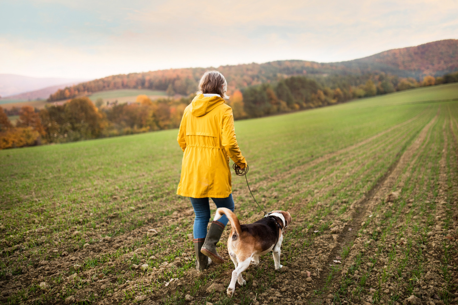 As melhores raças de cães para quem sofre de depressão